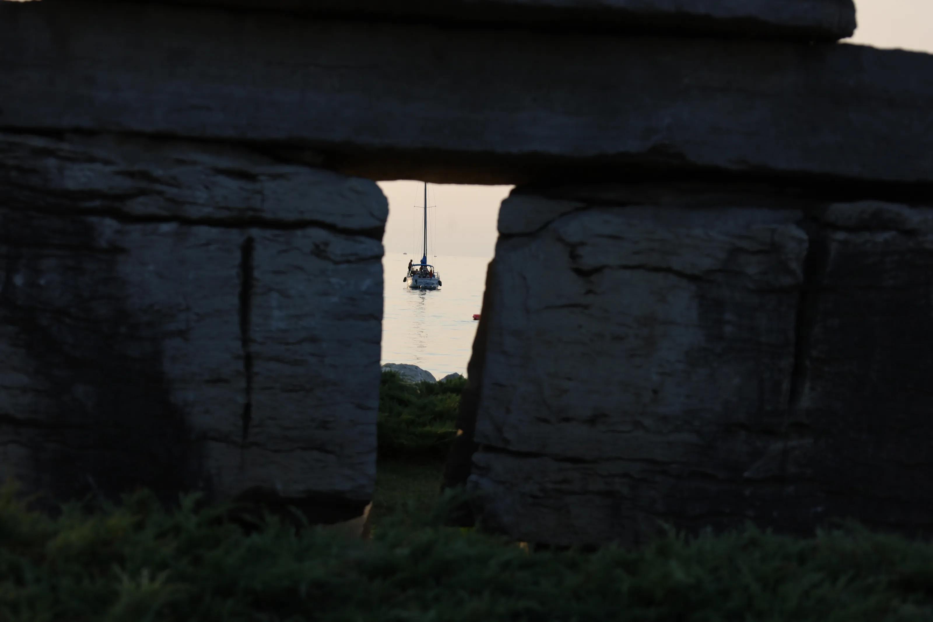 Banner image
