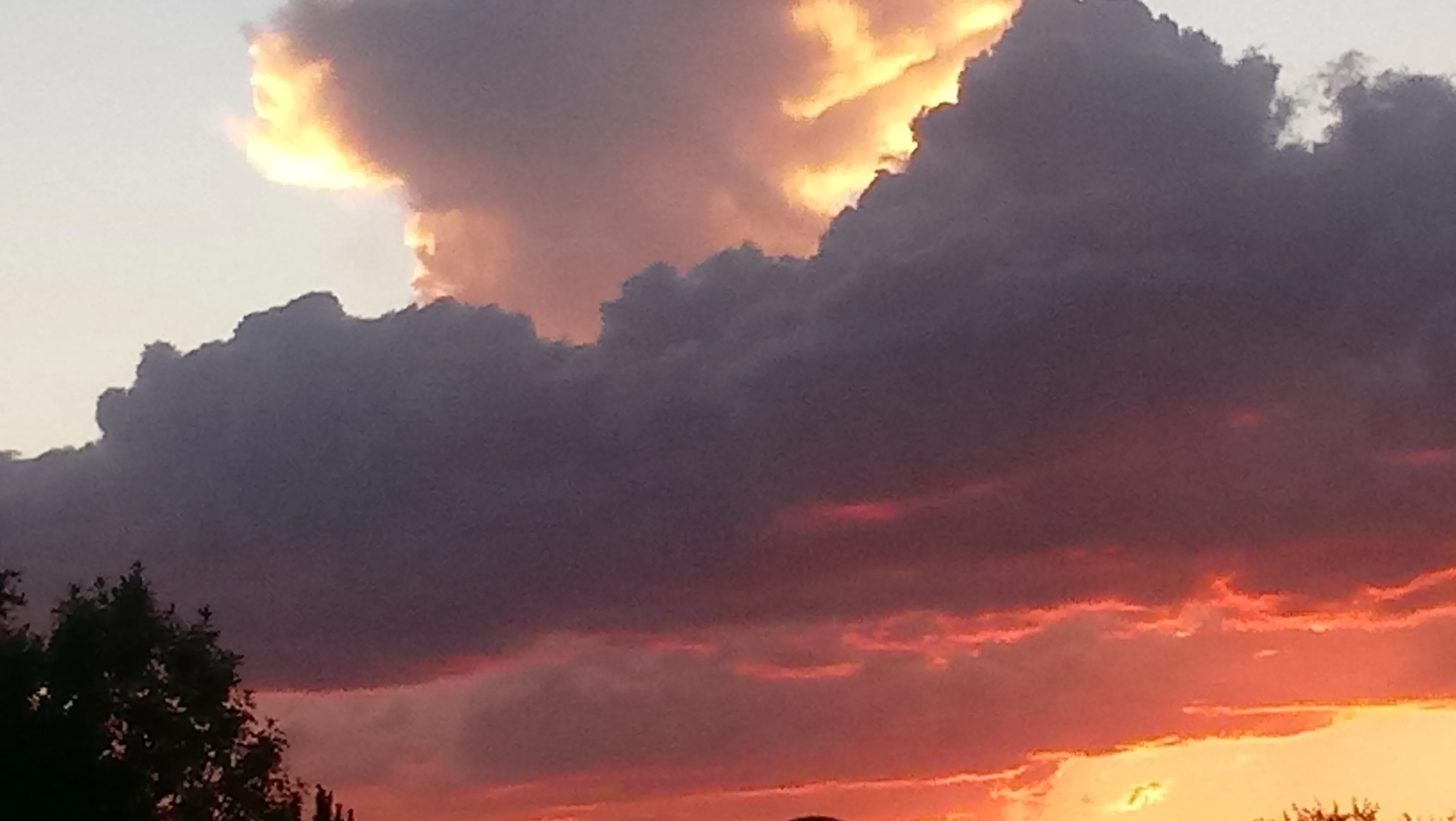 ARIZONA SKY