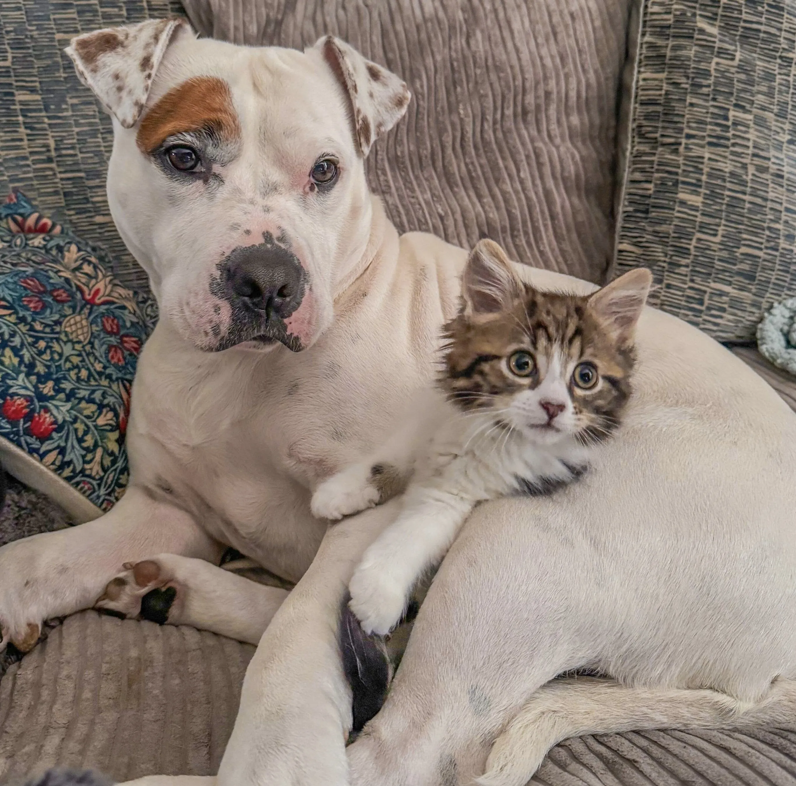 Best of friends