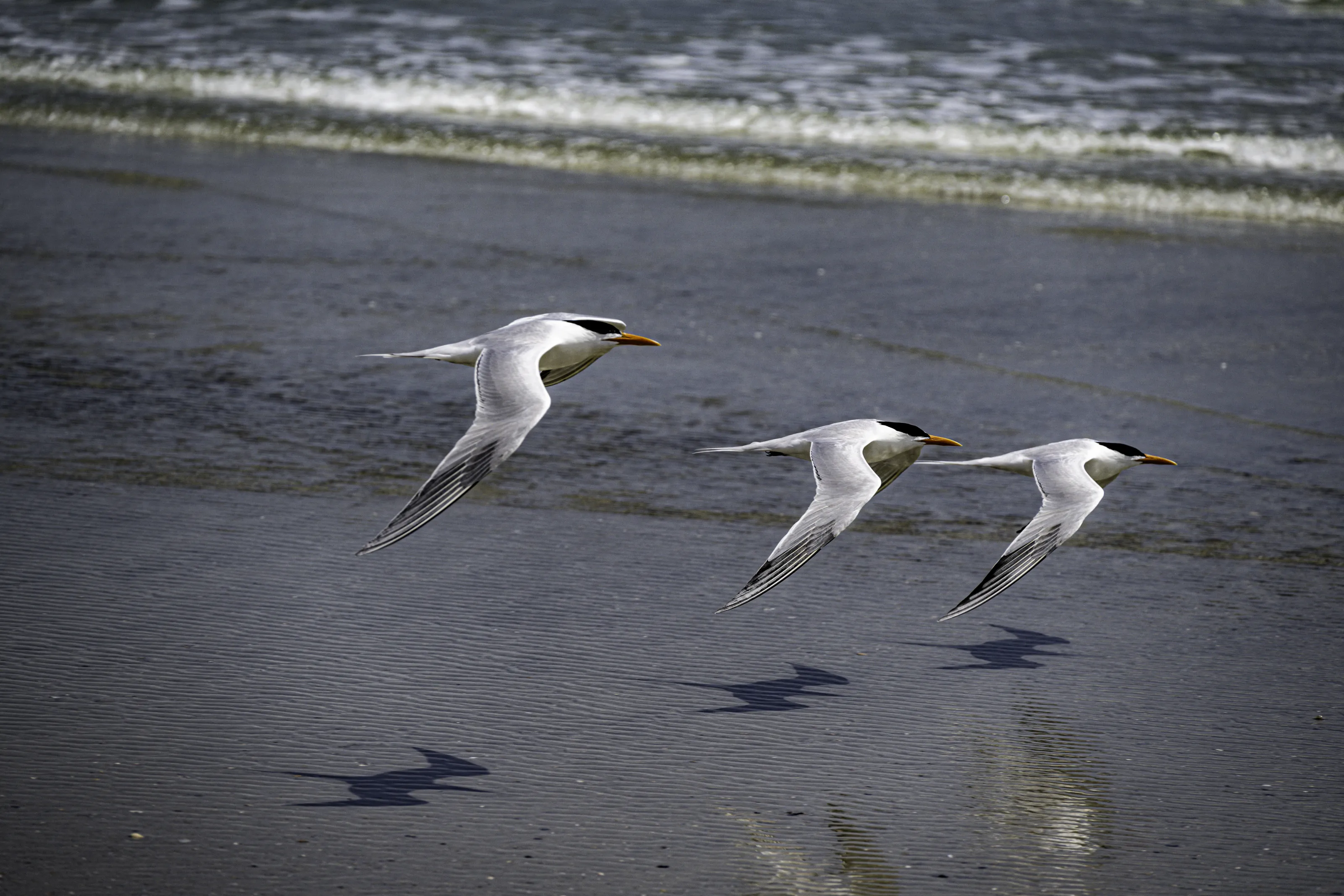 Formation Flight