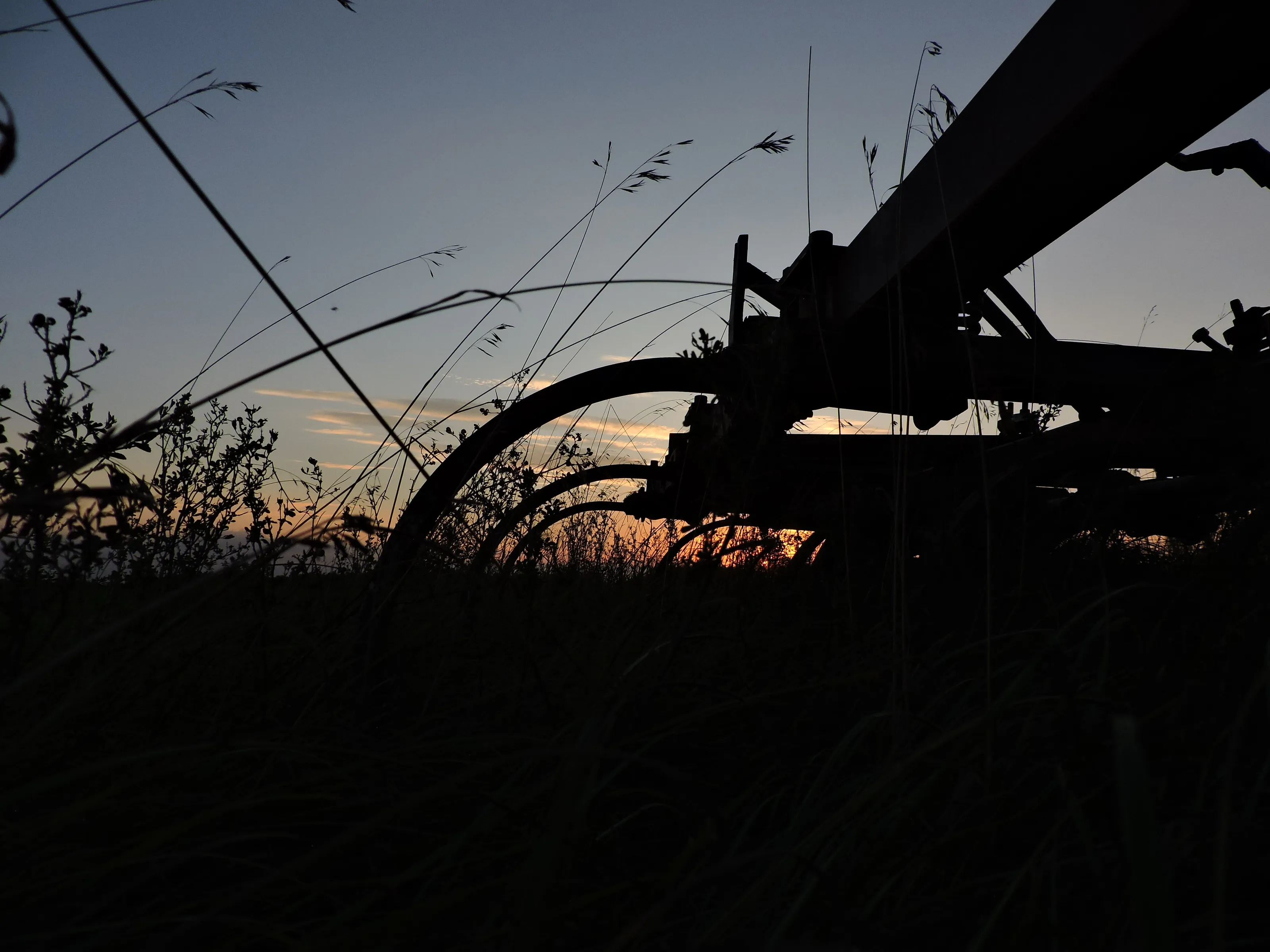 Farm sunset
