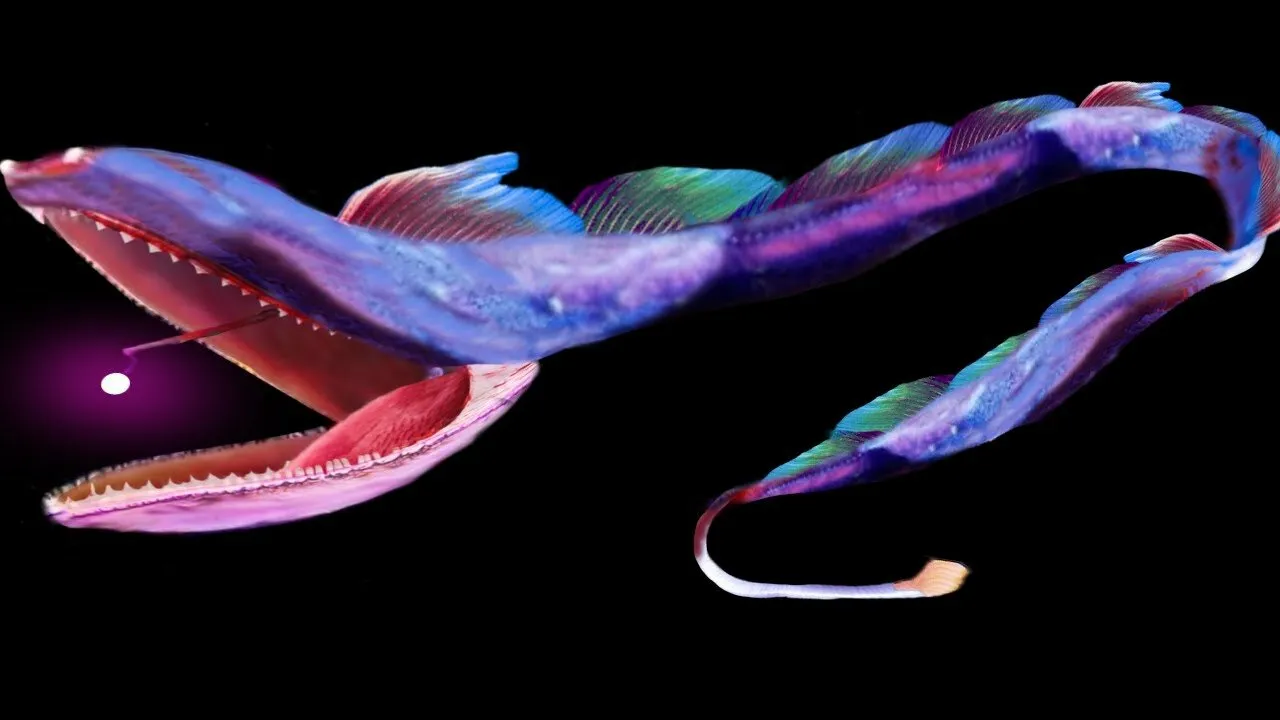 Banner image