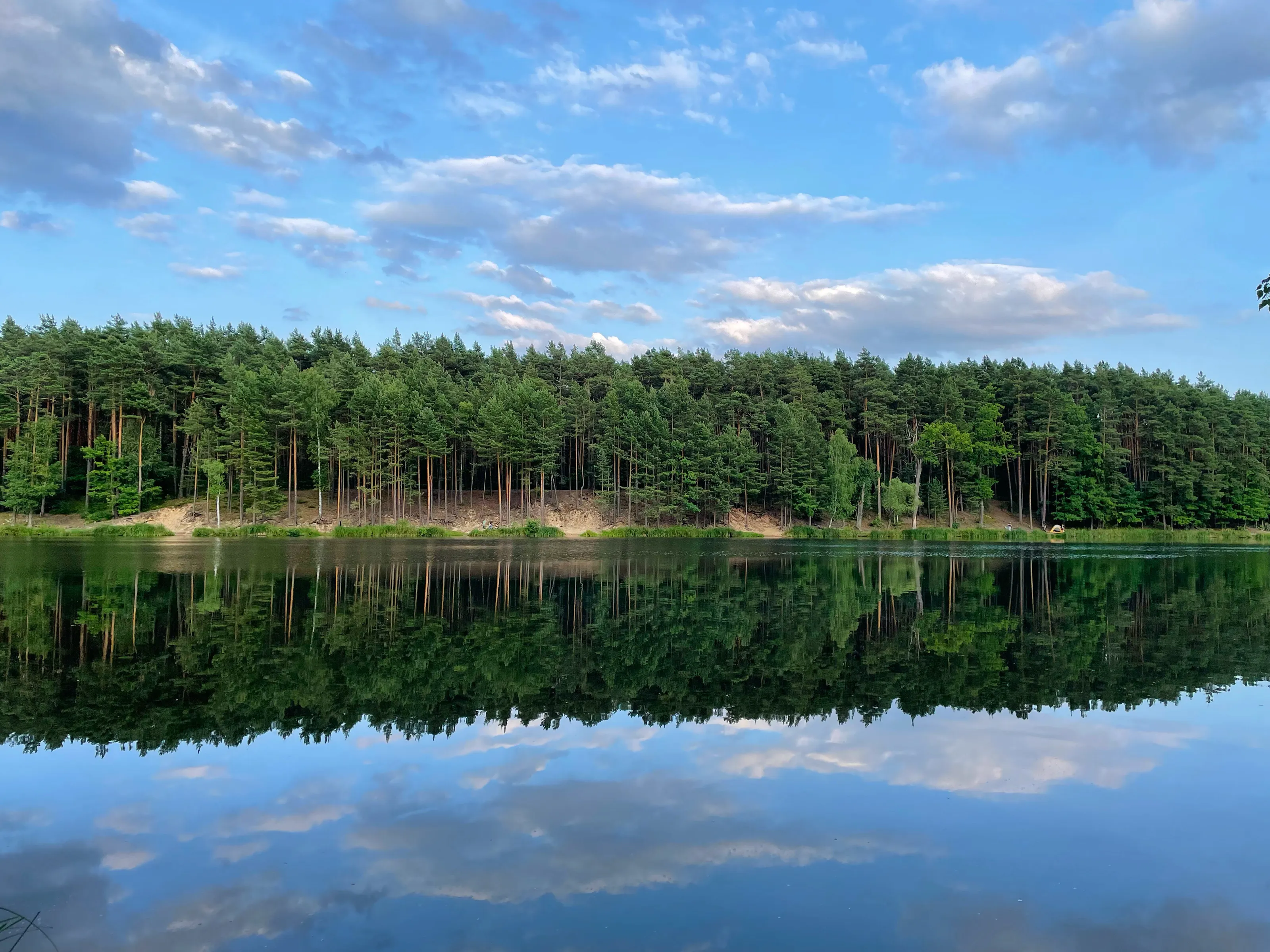 Polish lake mirror Rejow