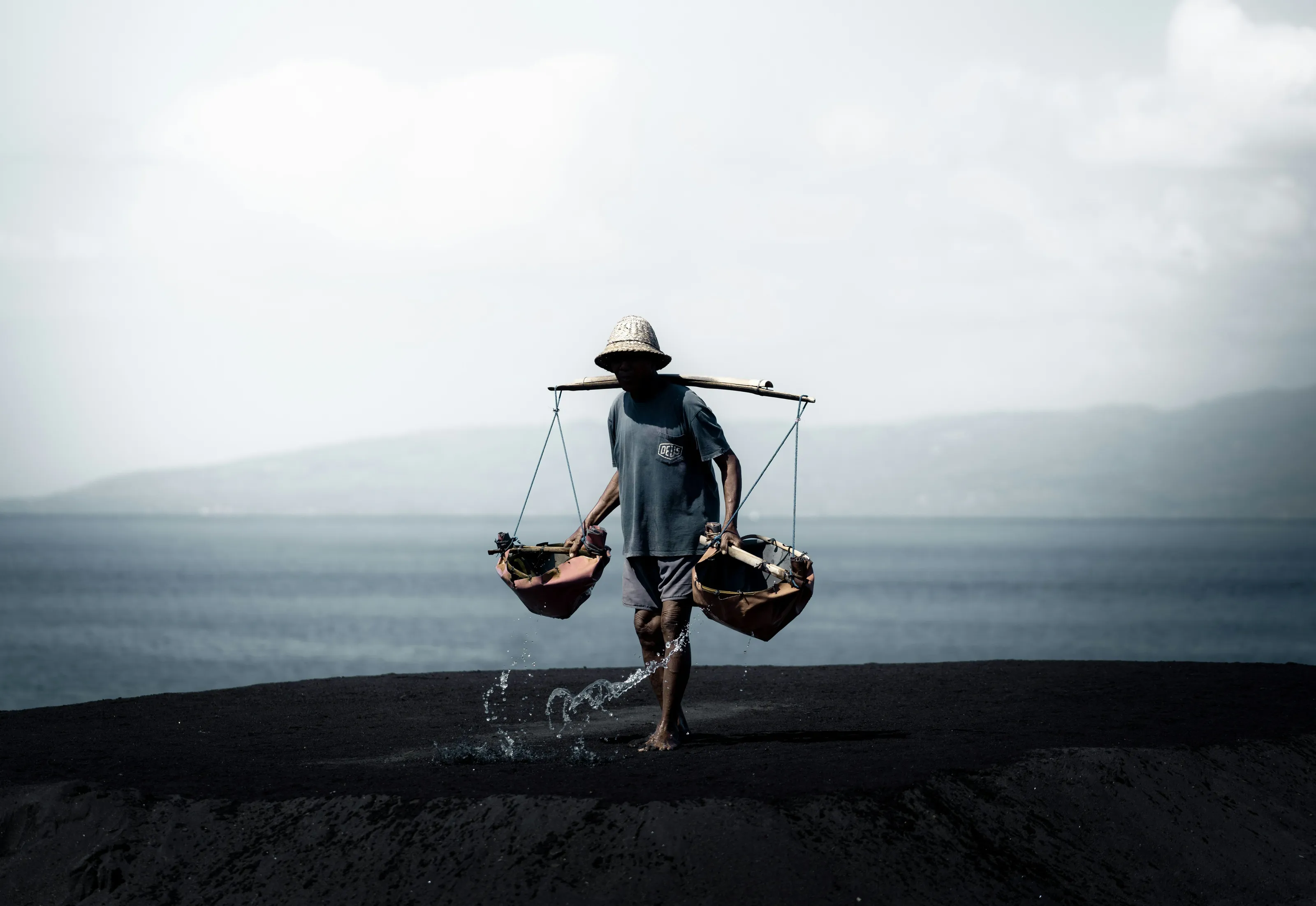 Echoes of Resilience