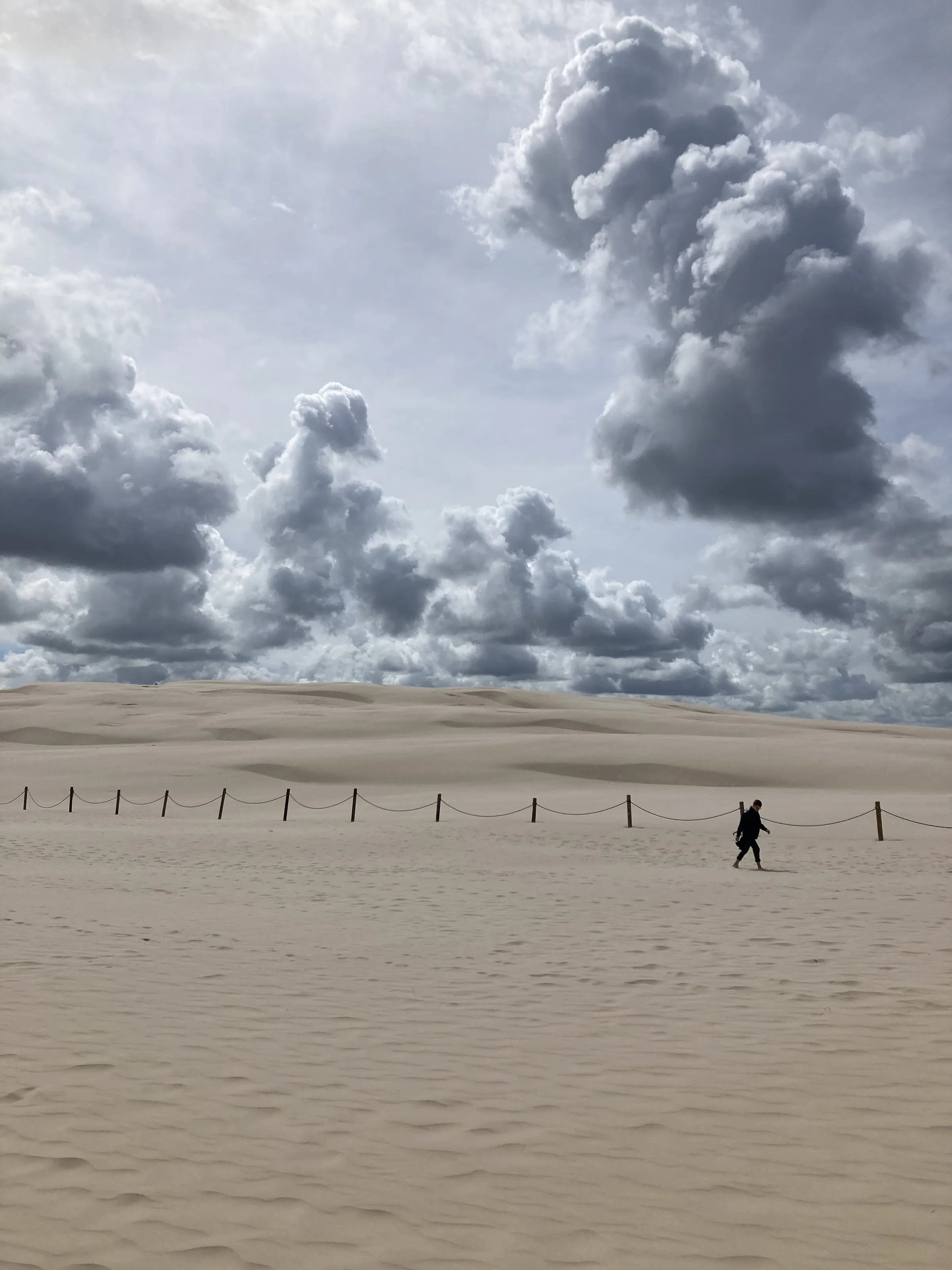 A Long Walk