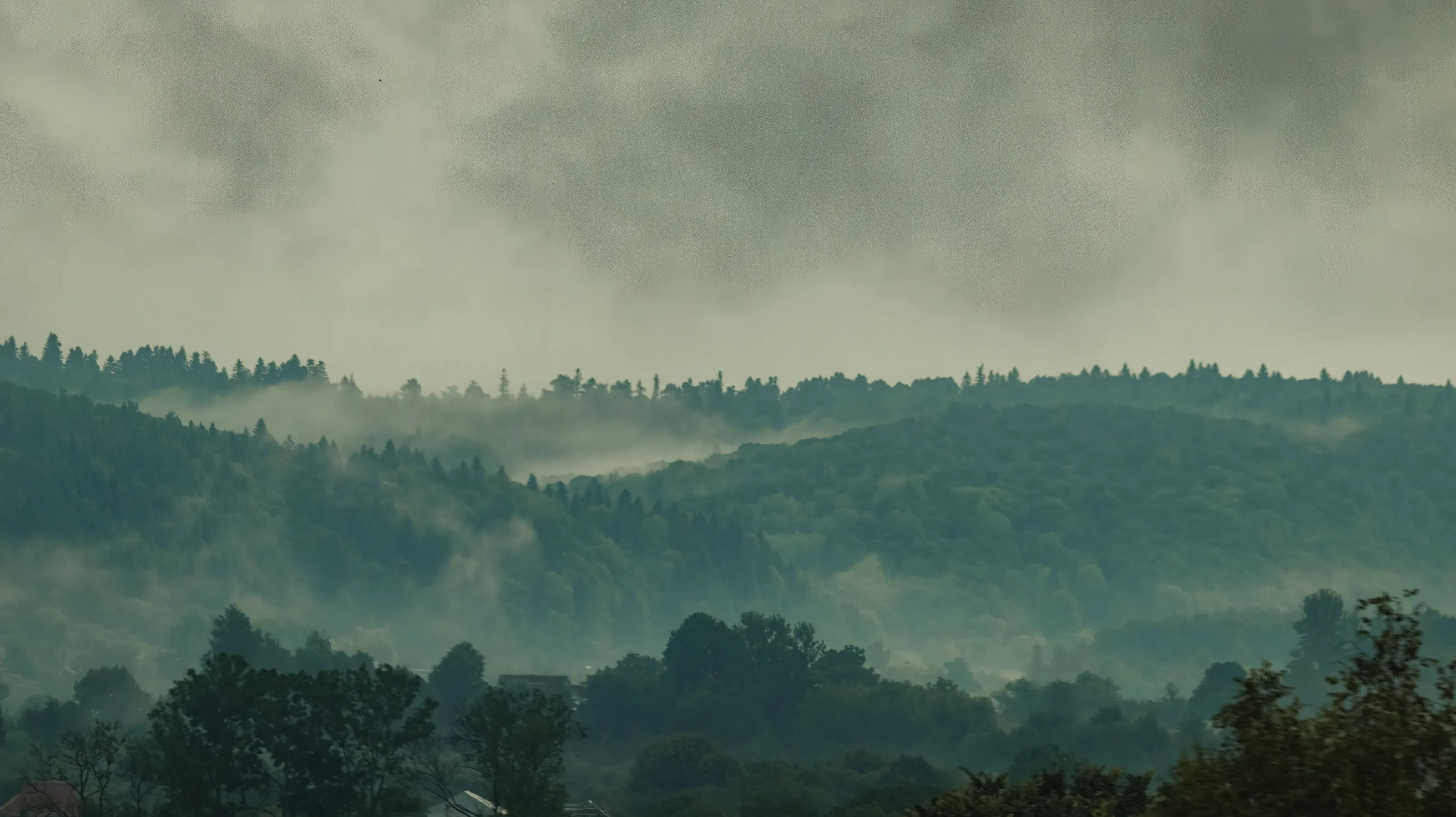 Carpathian Landscape