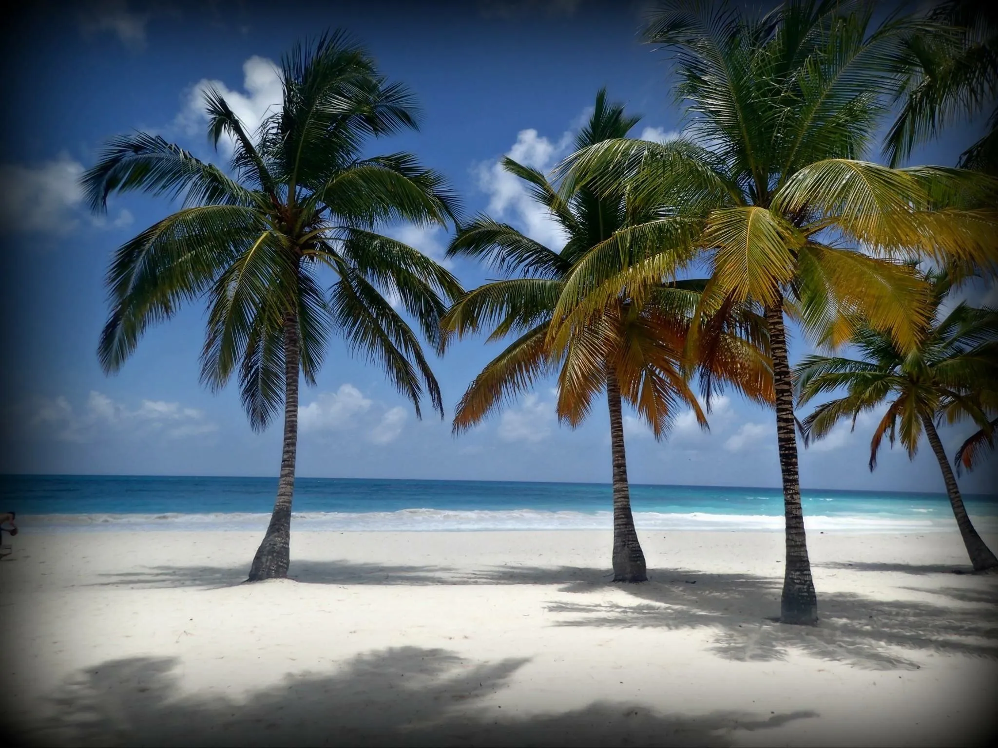 Punta Cana