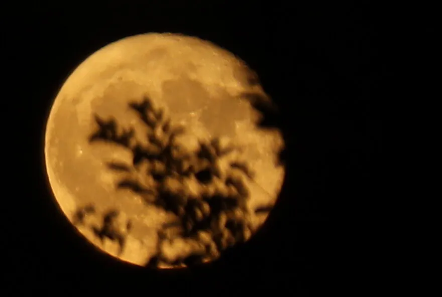 Banner image
