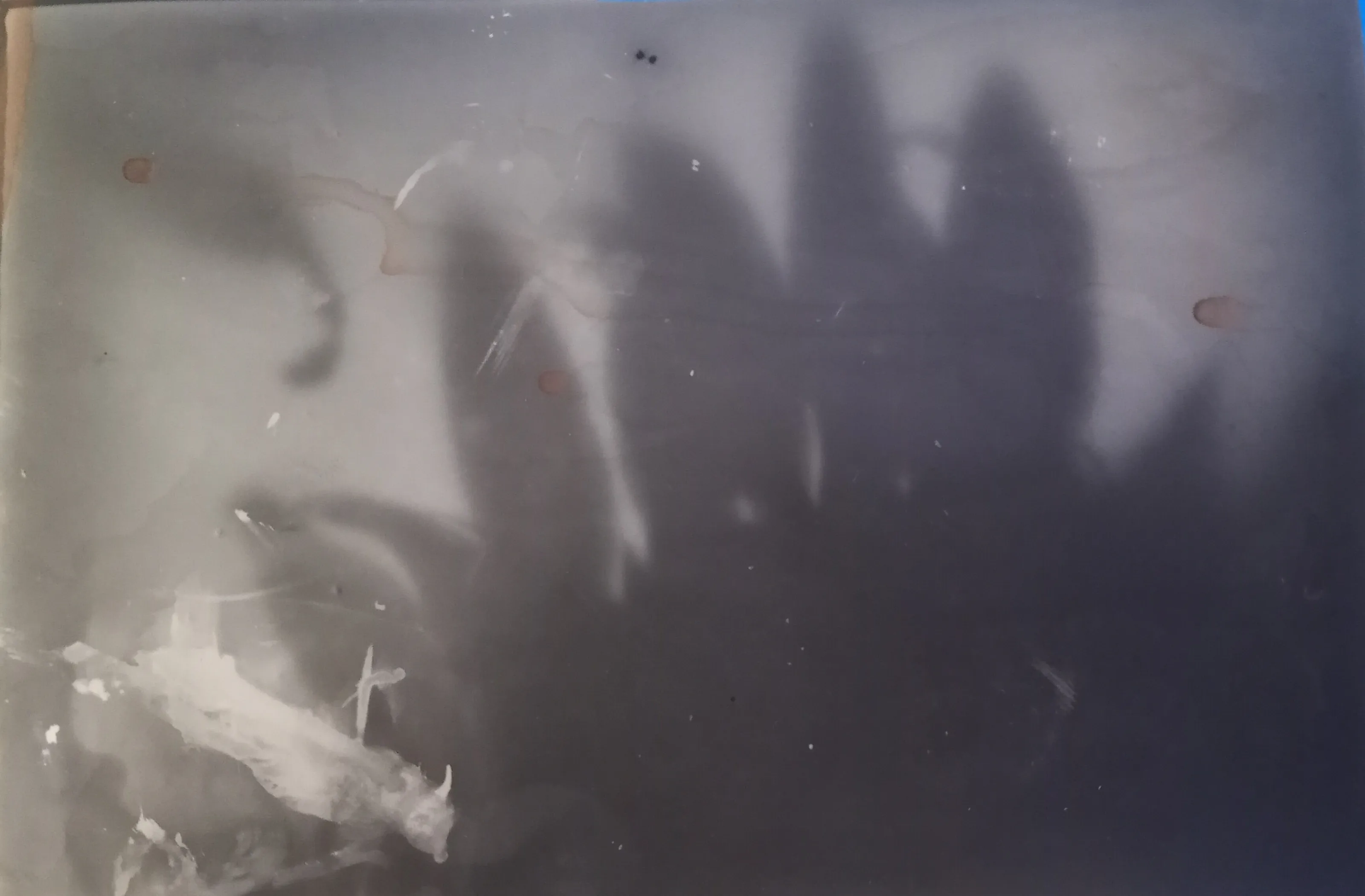 Shadows