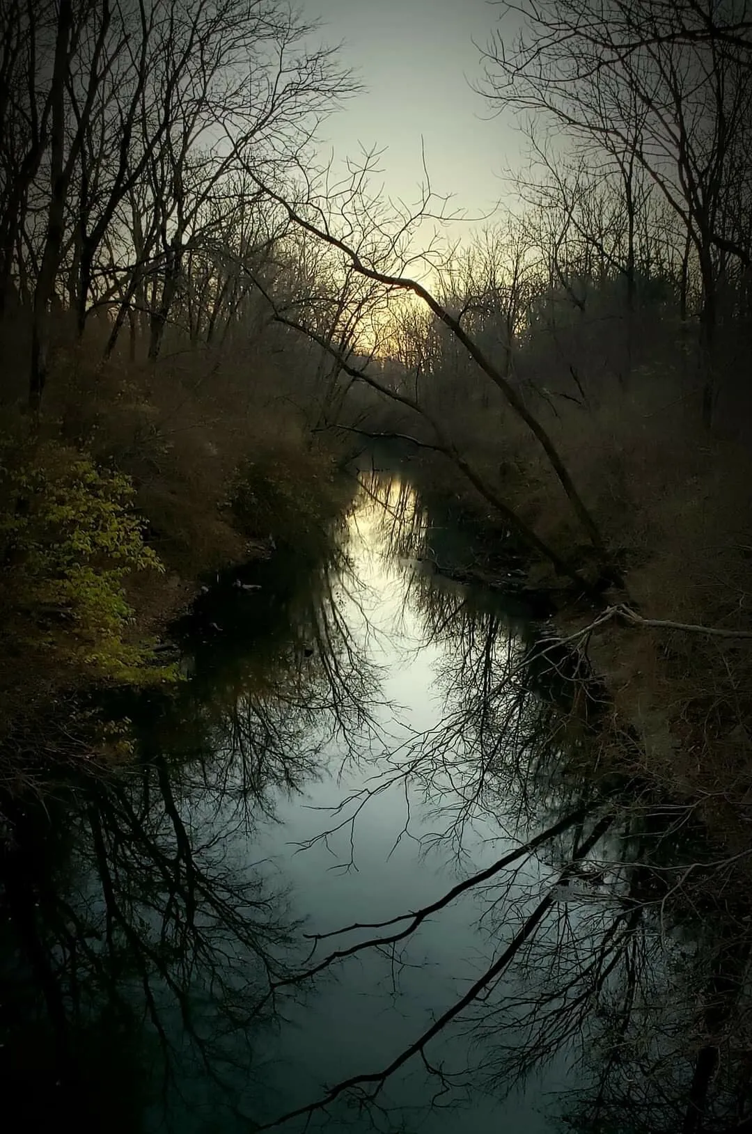Serenity in the Shadows