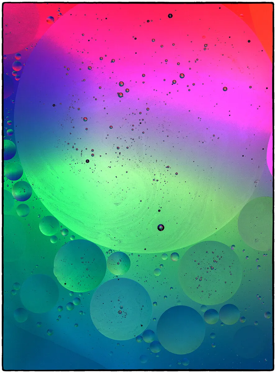 Entry 2740011