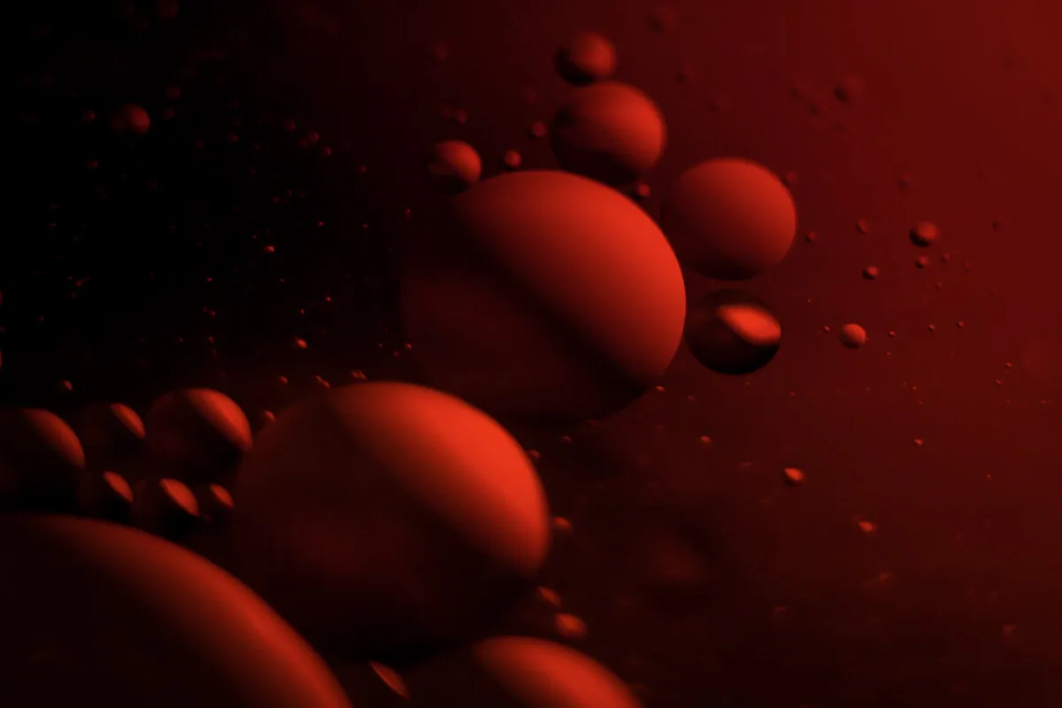 Banner image