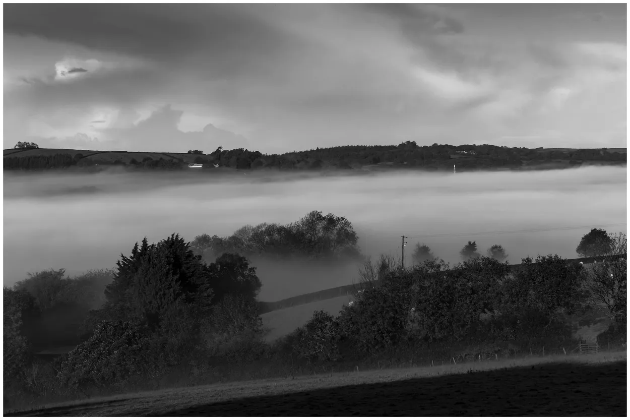Fog in the Valley