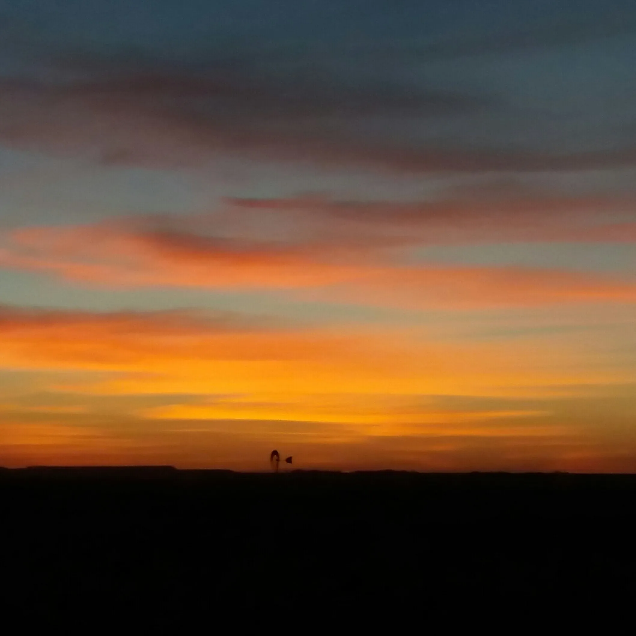 Open country