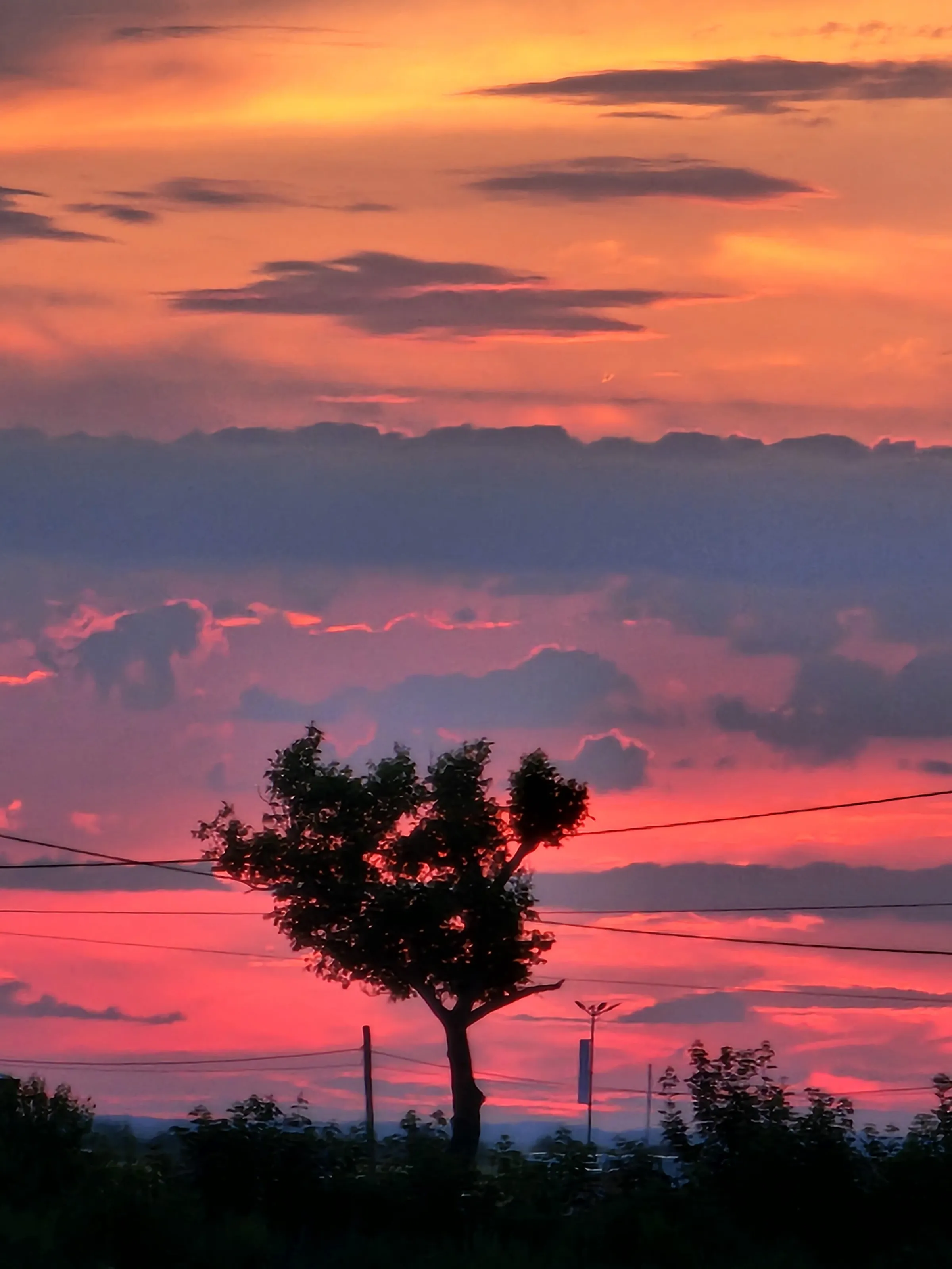 A sunset view