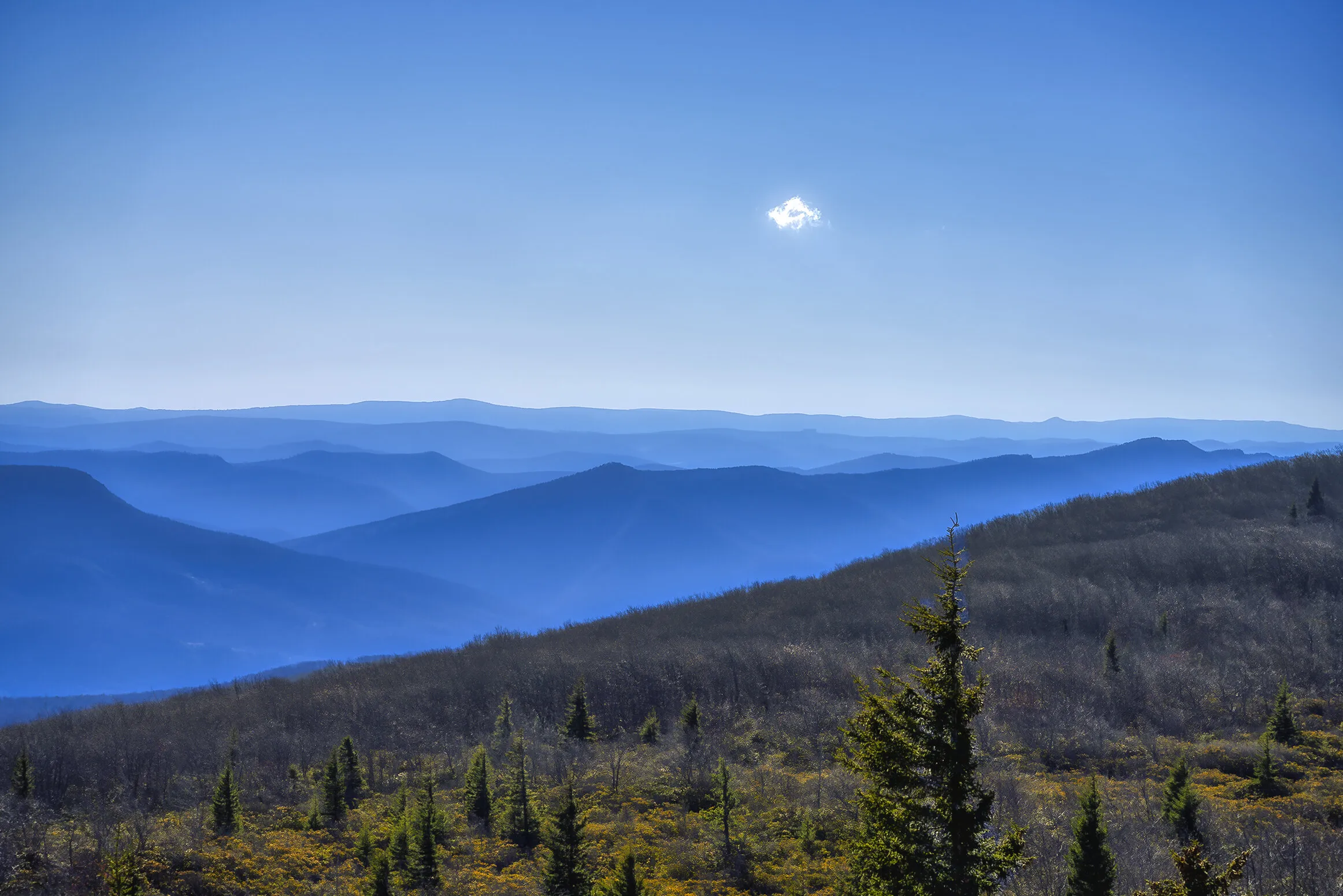 Bear View