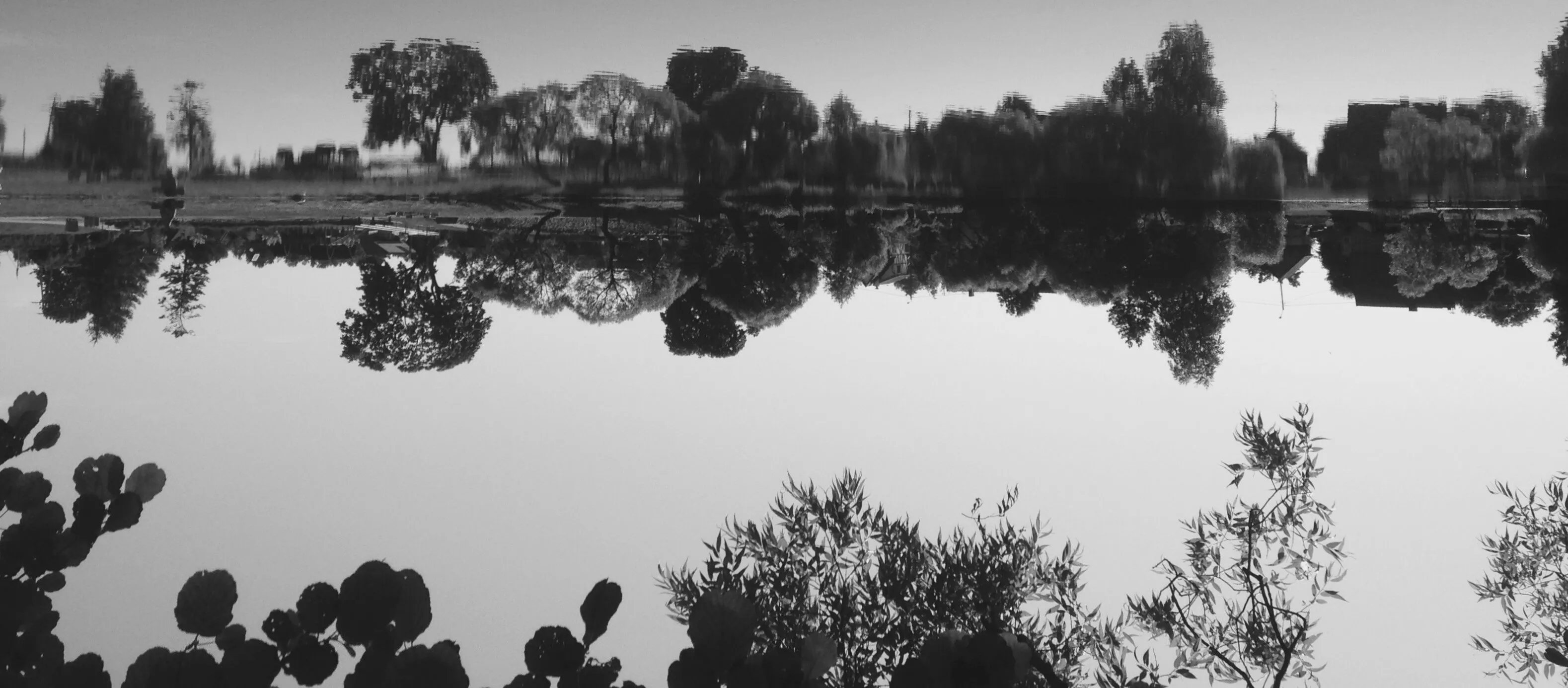 The lake