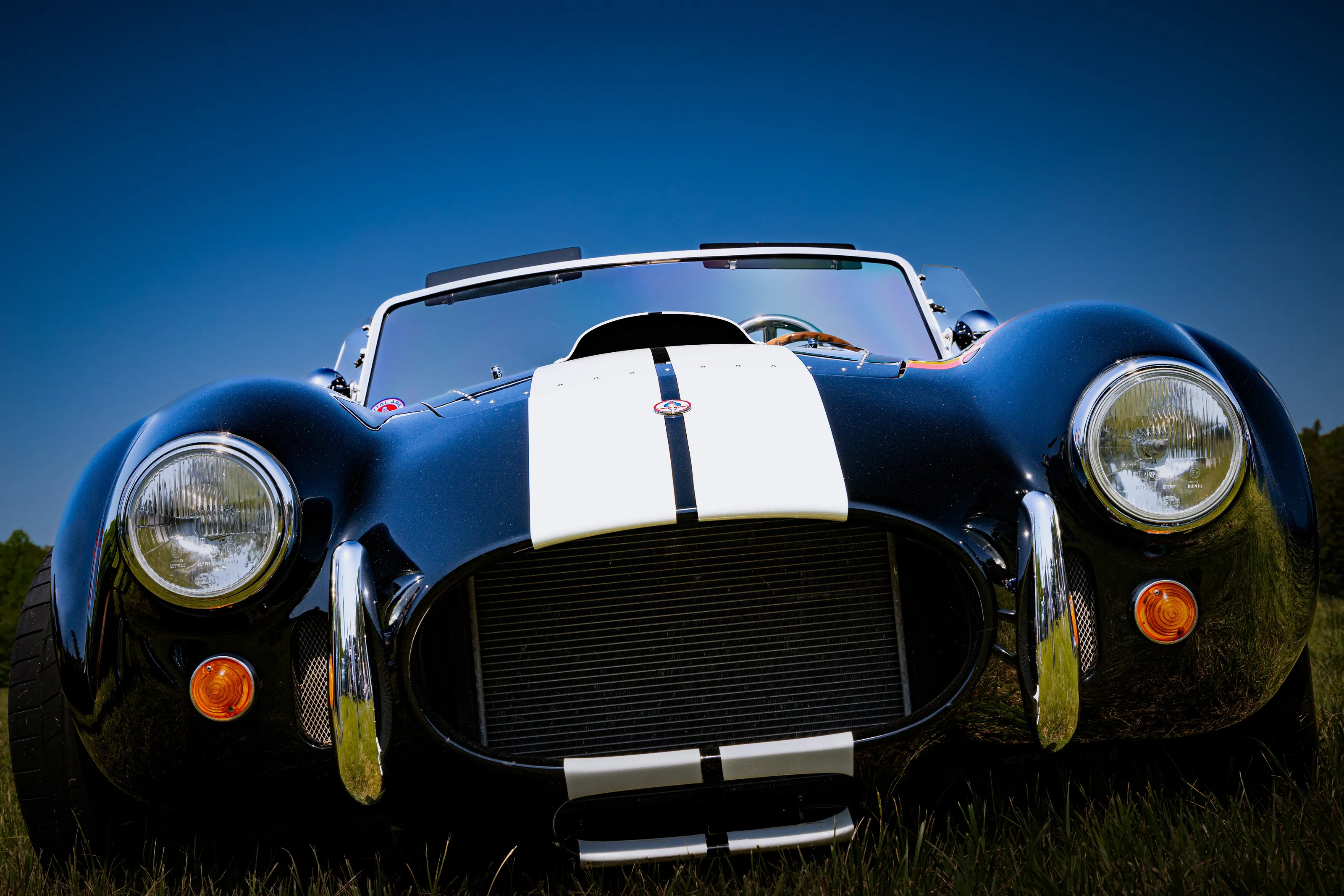 Cobra