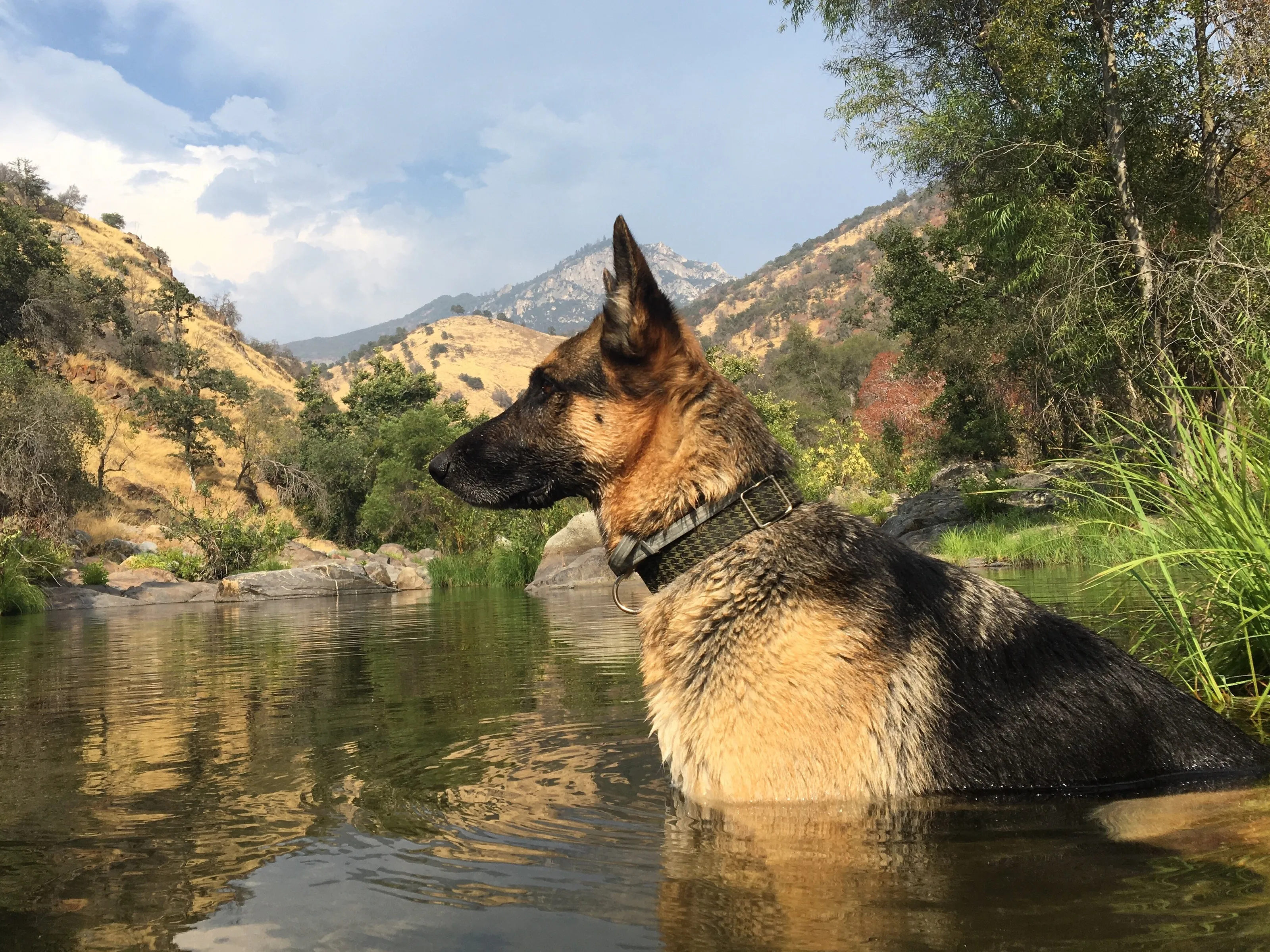 River Watch