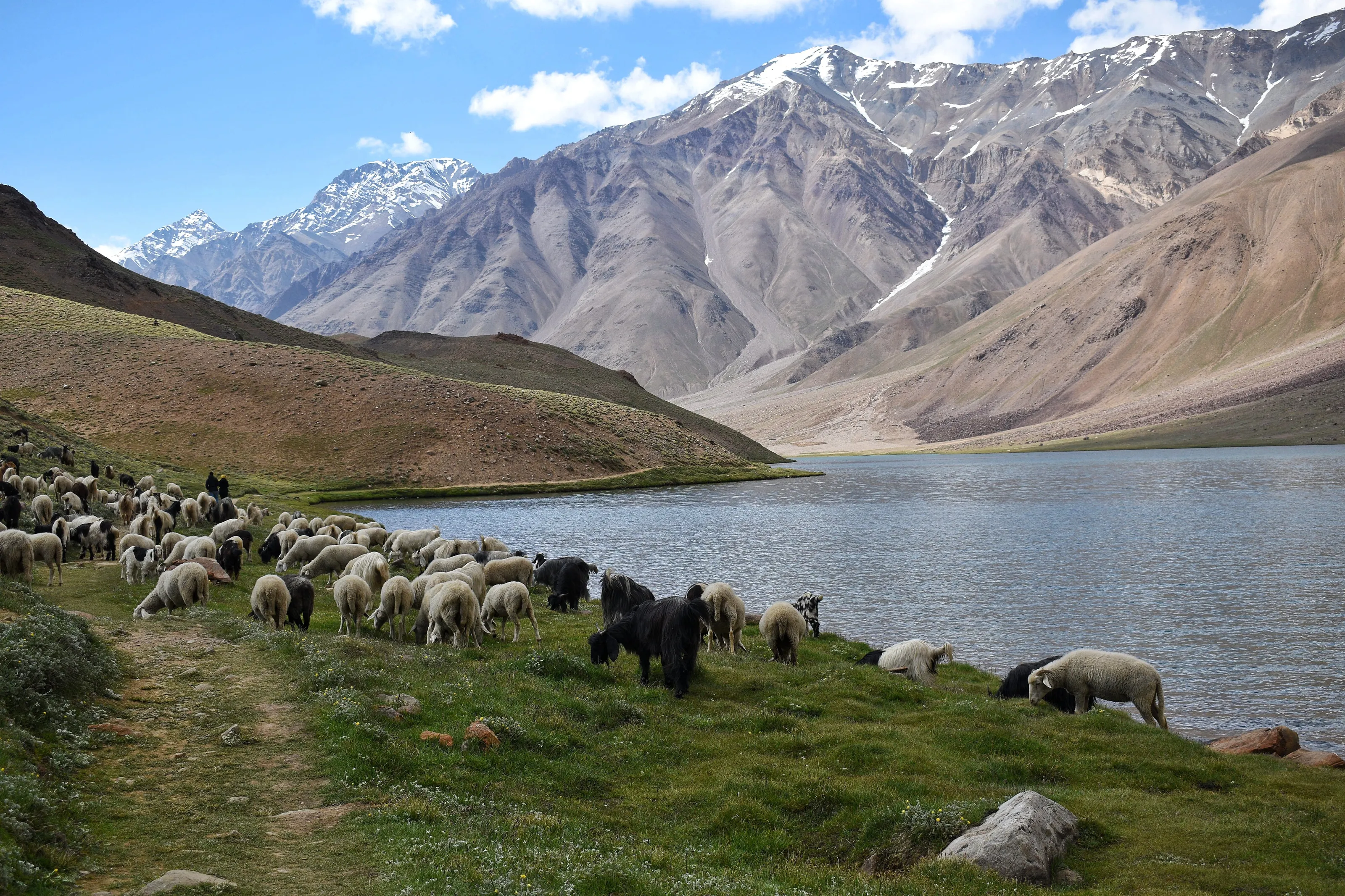 Chandratal Lake