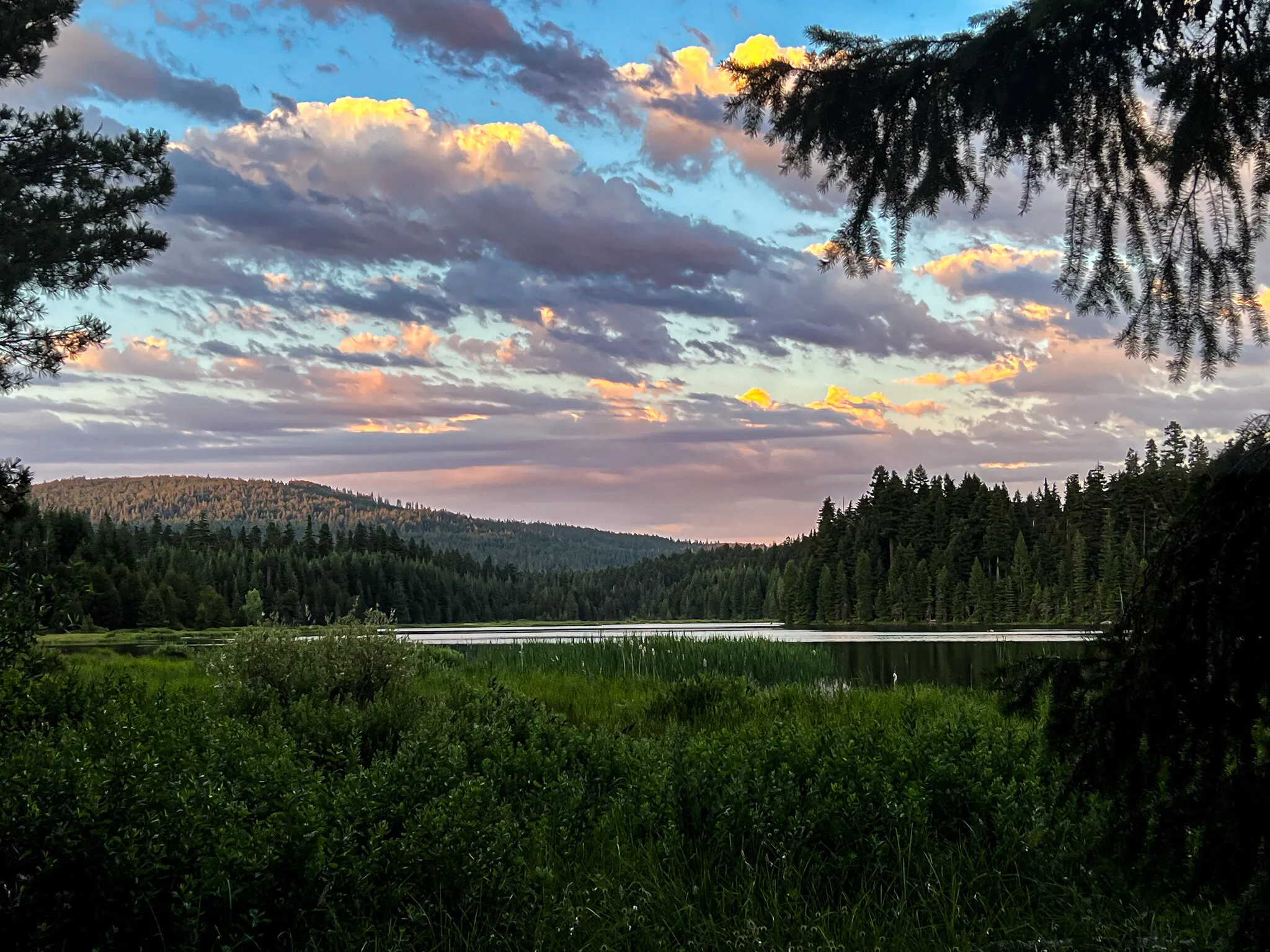 Summer Evening on the lake
