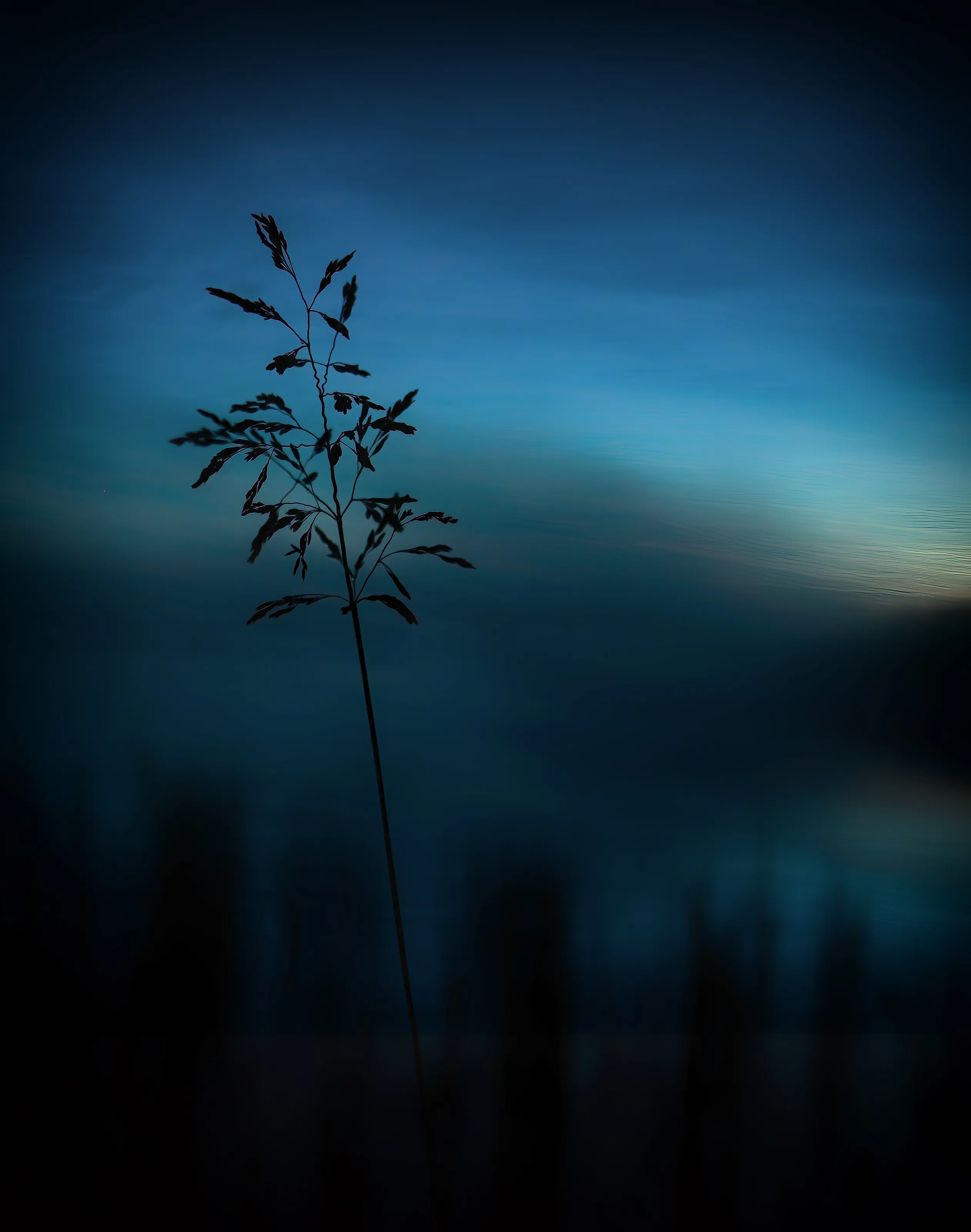 Straw