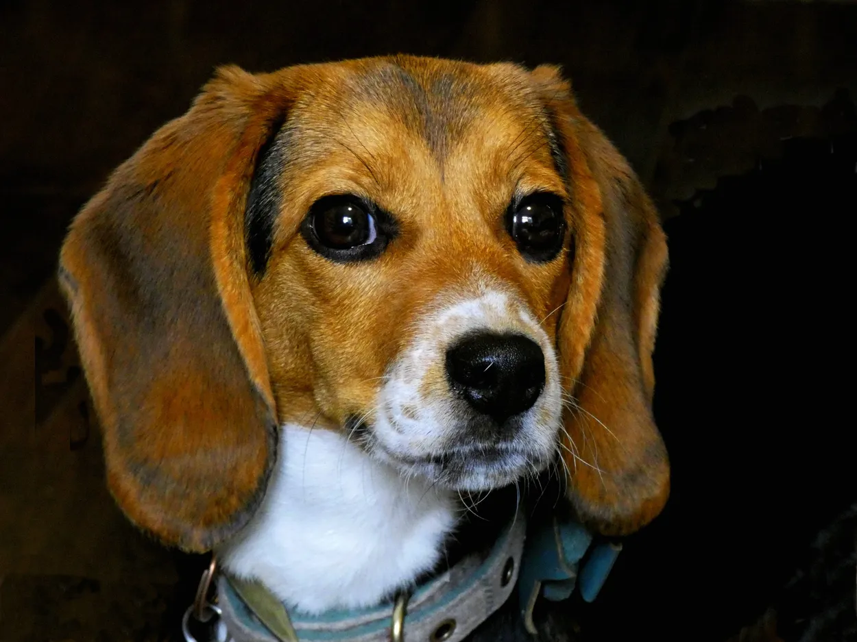 Entry 22757343