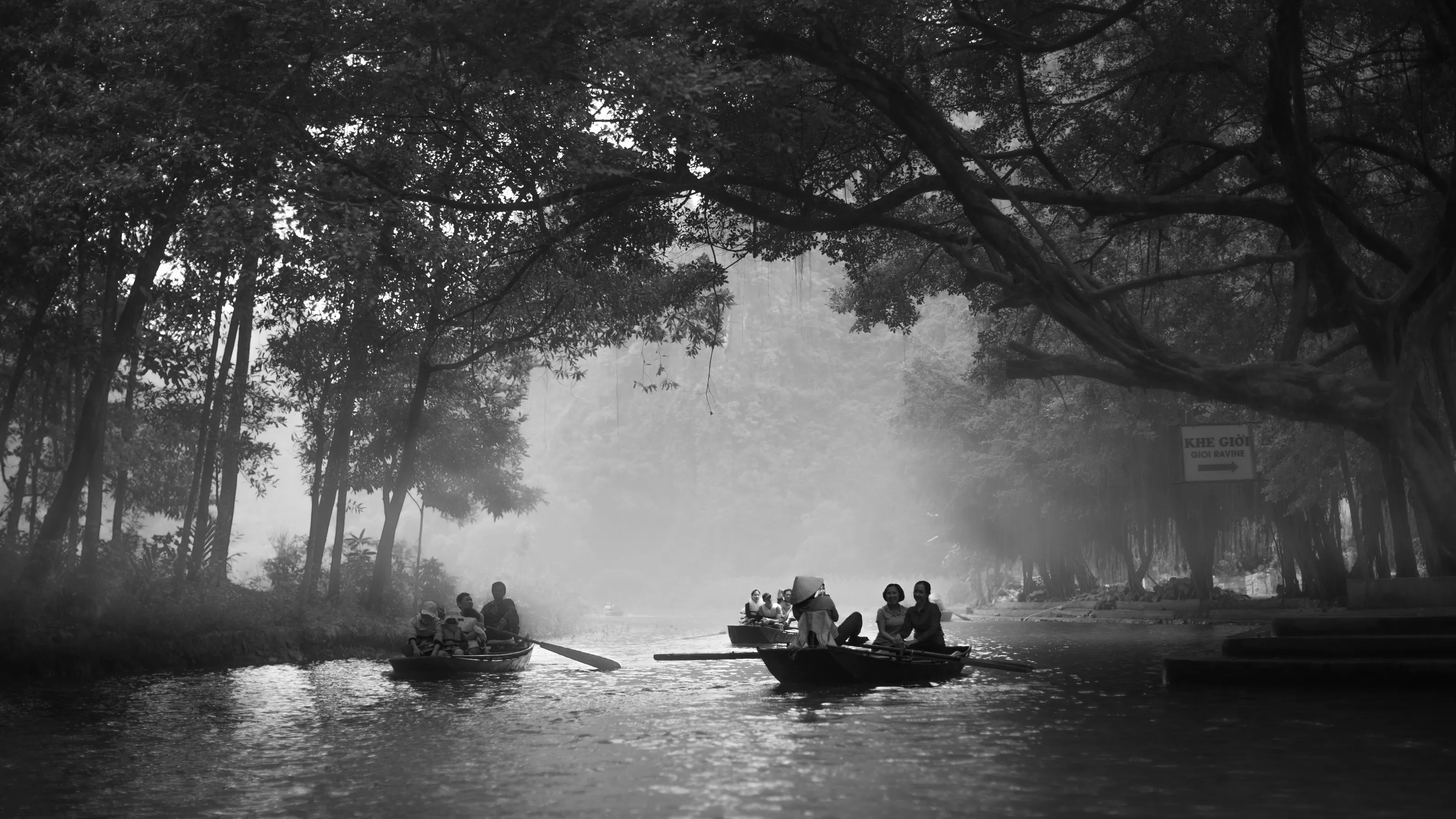 Tam Coc Mist