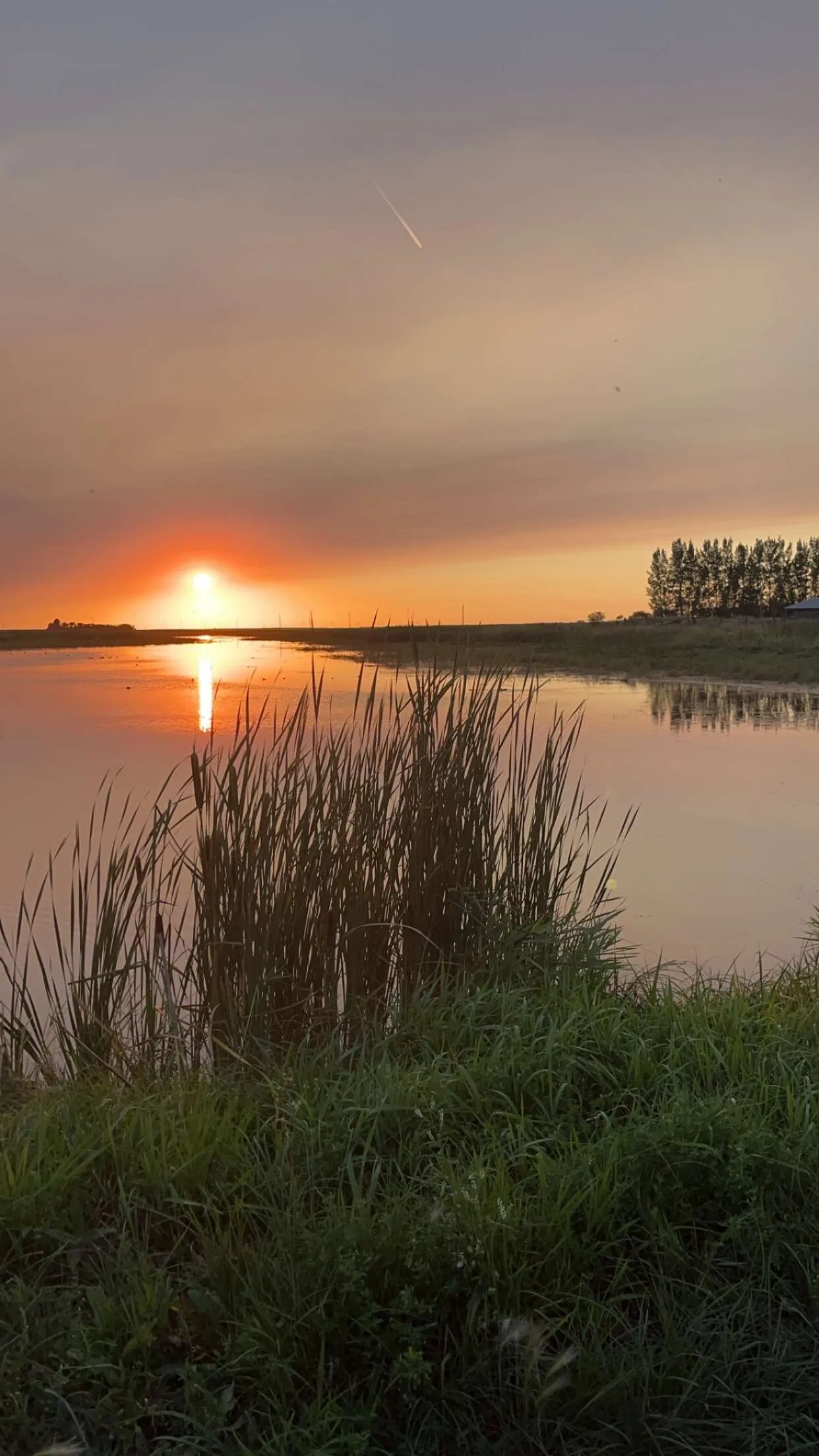Saskatchewan Landscape