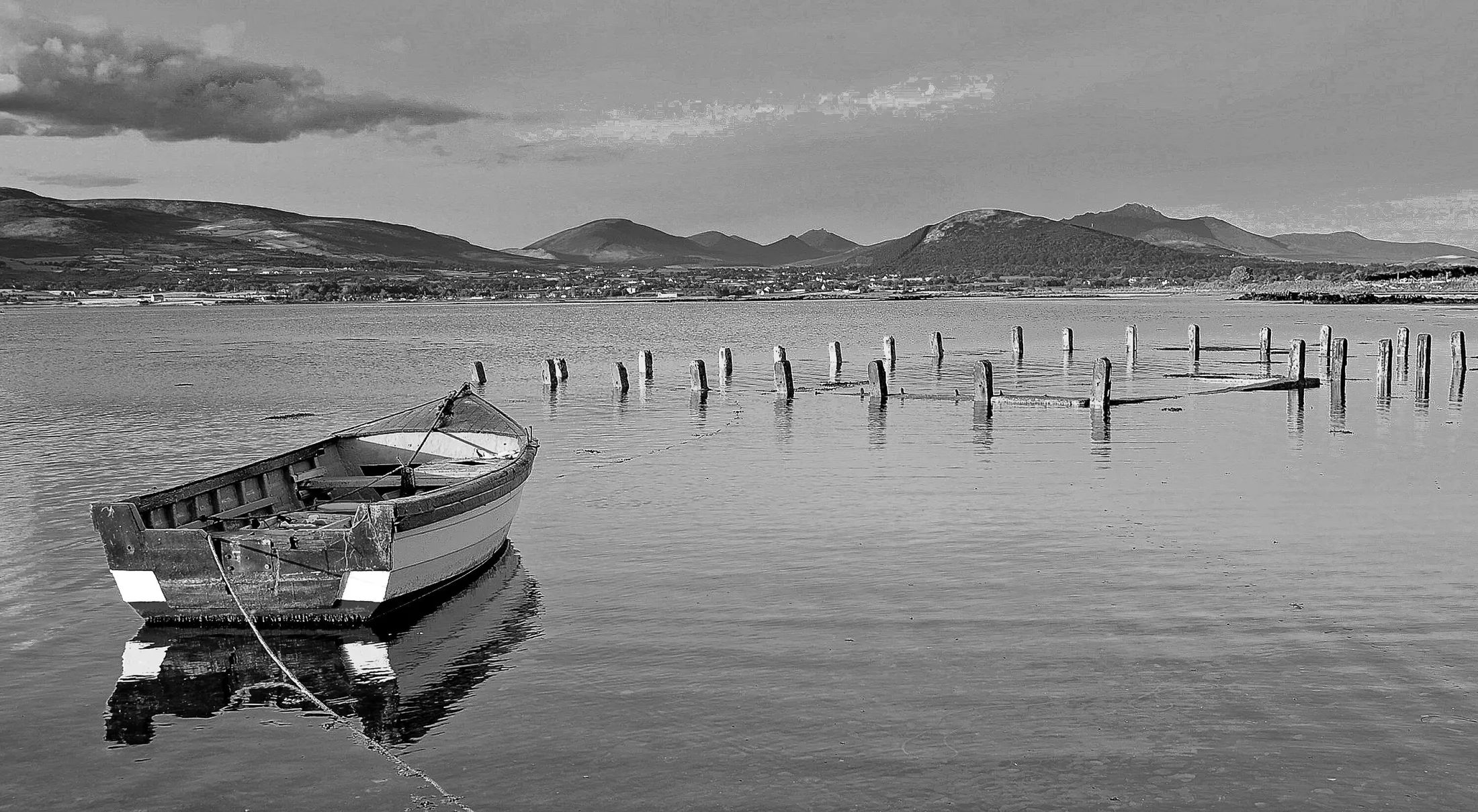Entry 2165496