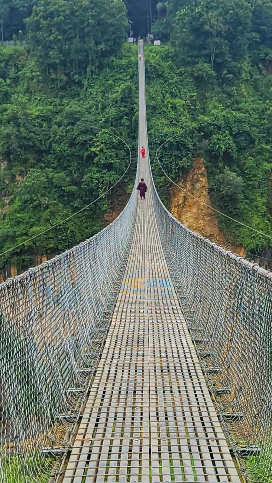 Suspension Bridge