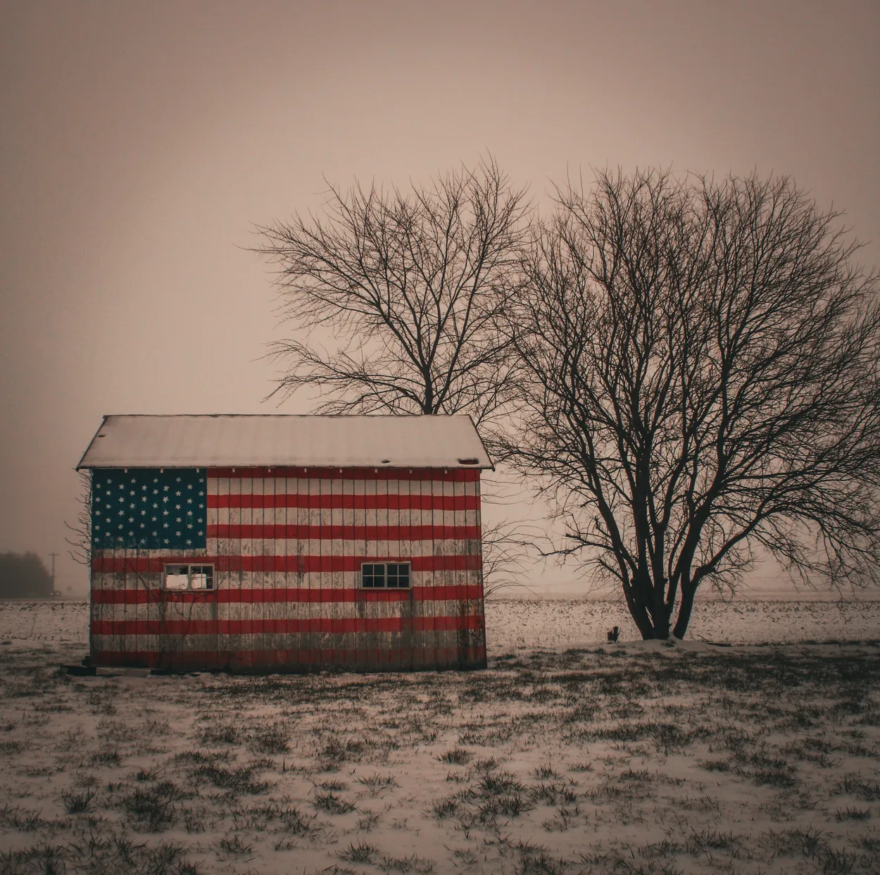 Back Road, USA