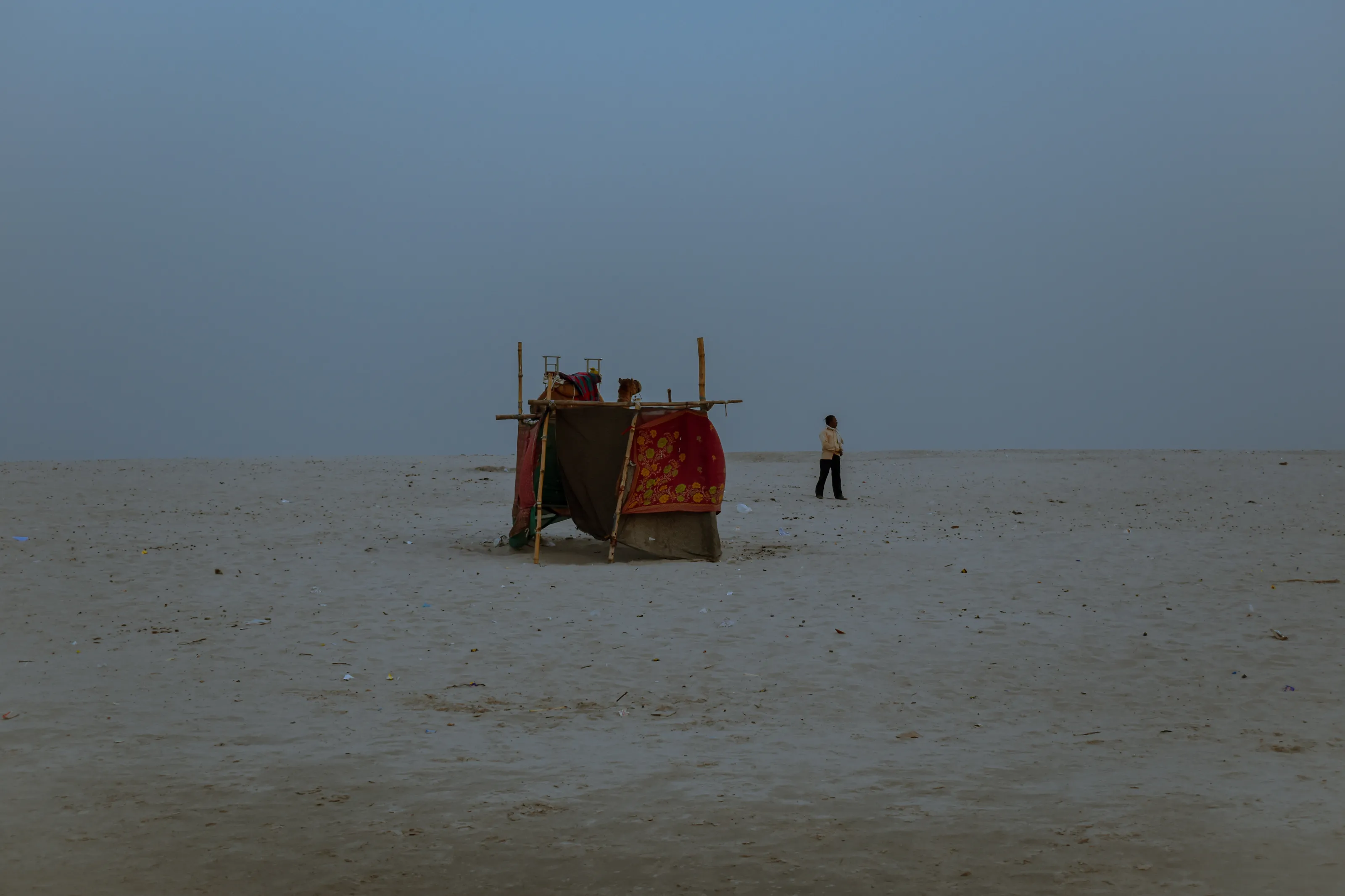 A room, a camel & a guest