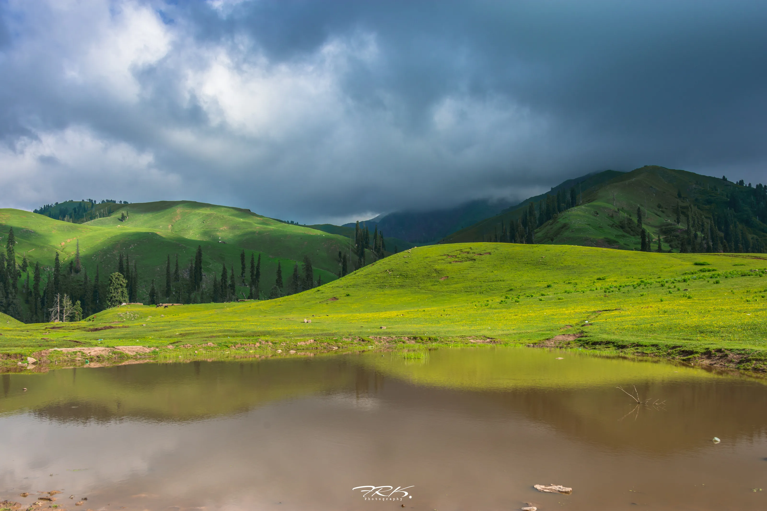 Paye Meadow