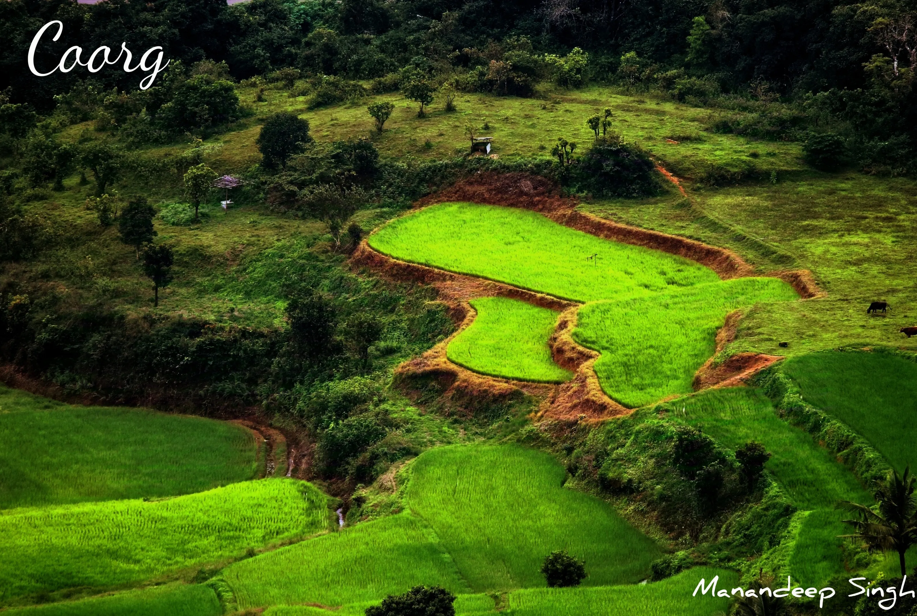 Coorg