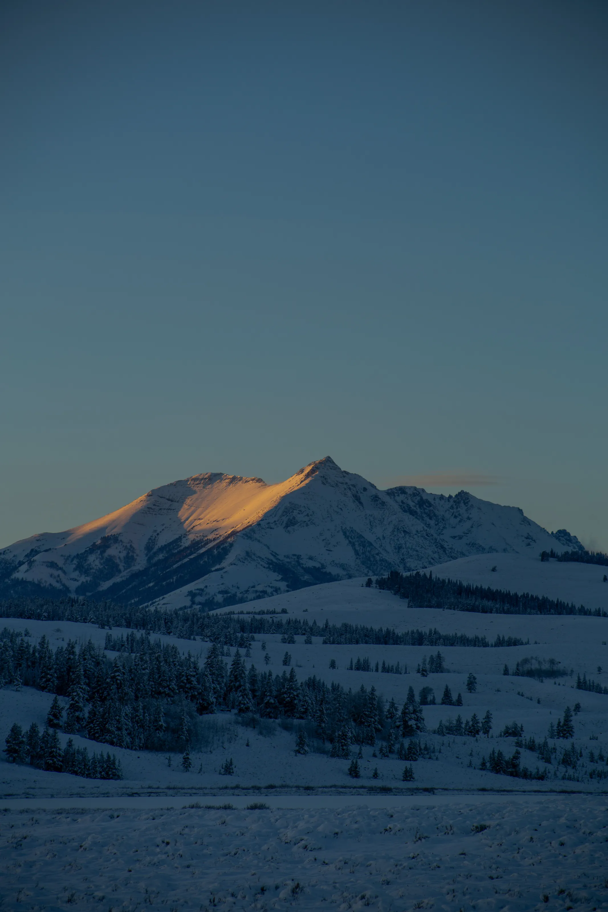 Montana mountains