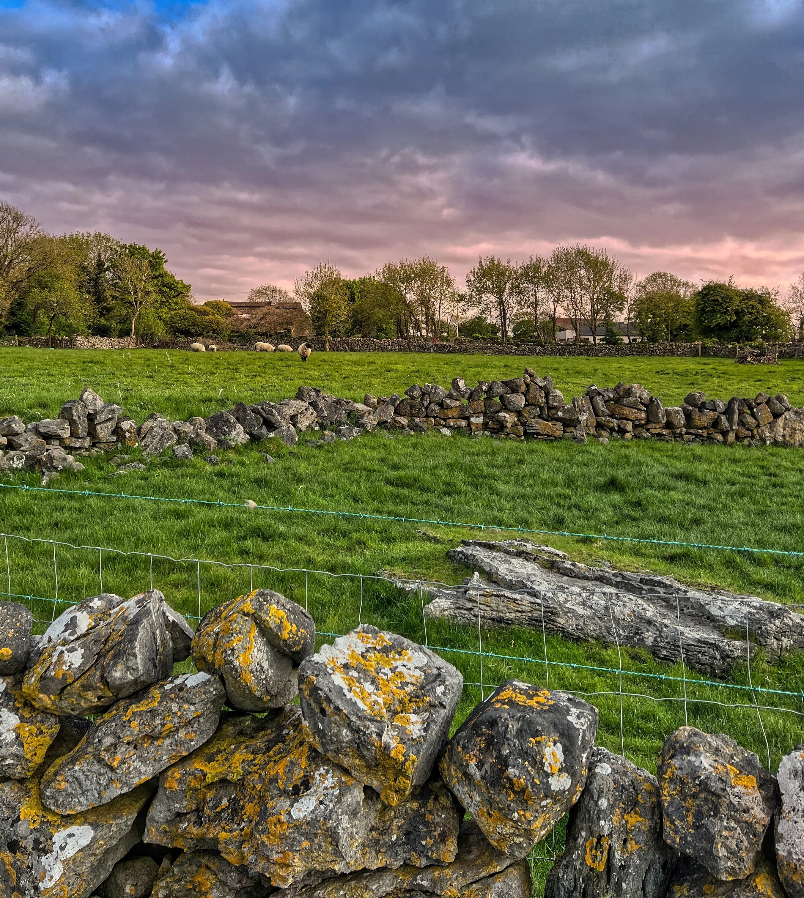 Galway Ireland