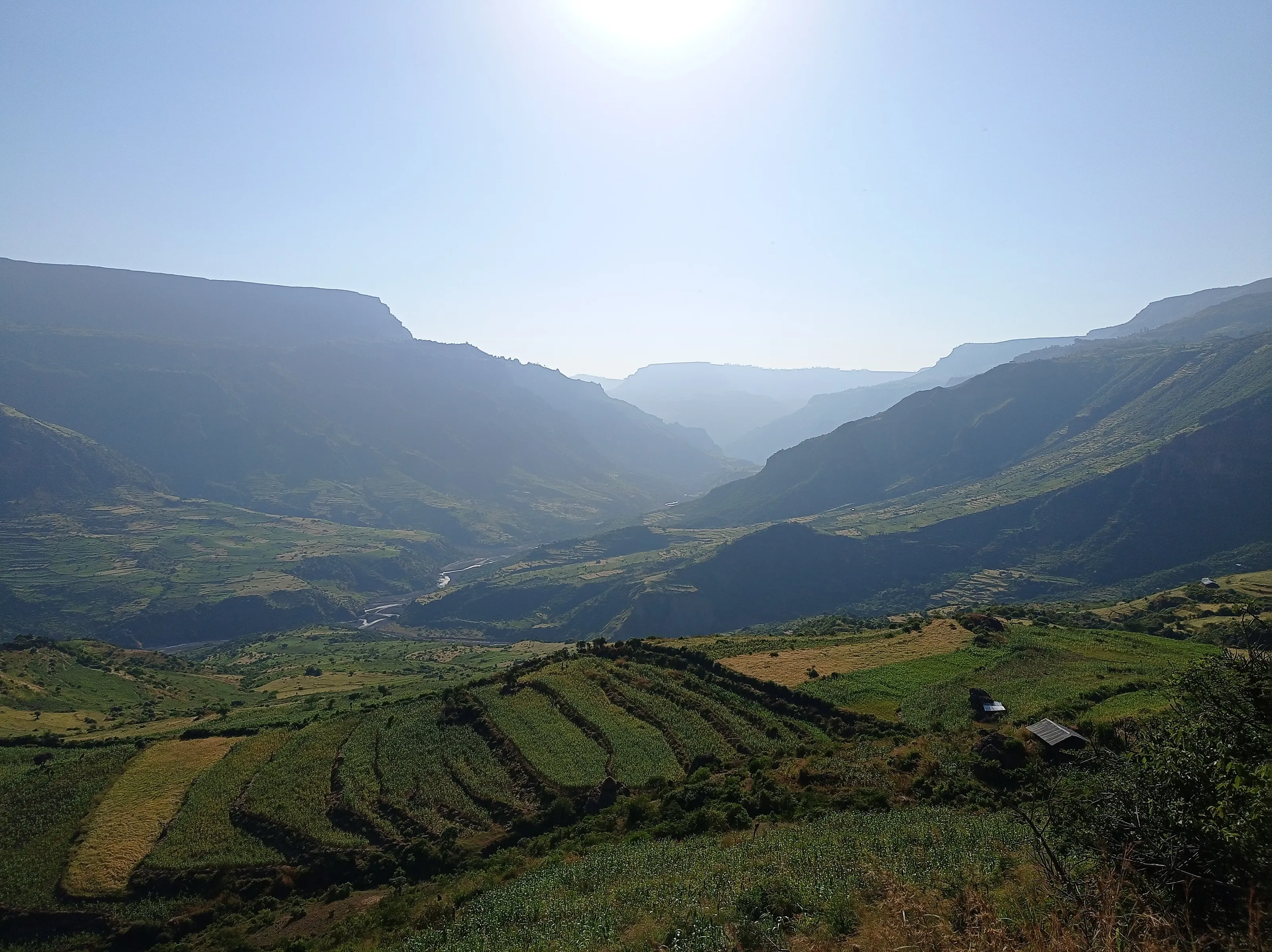 Ethiopia Land Of Origin