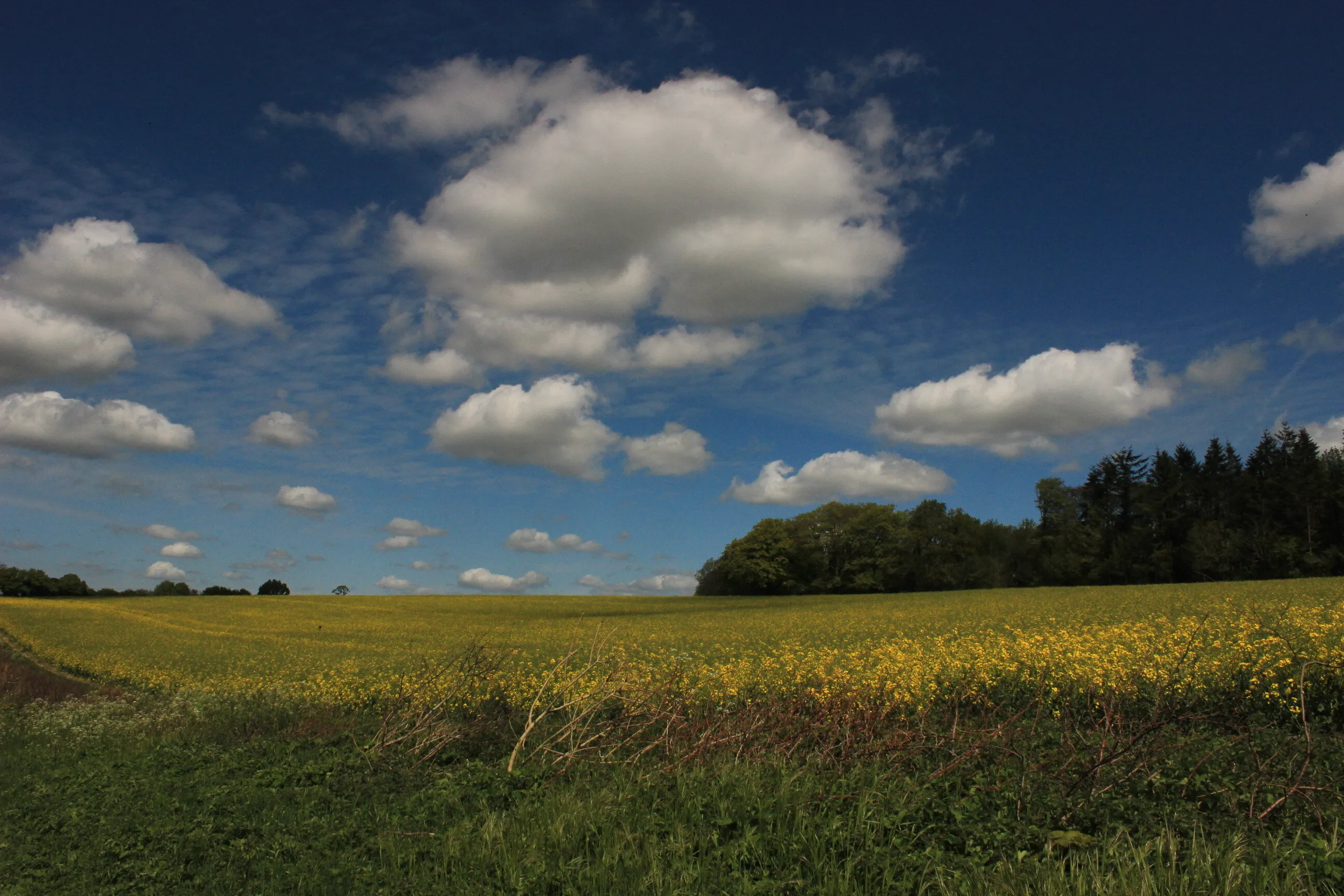 Serenity in the Sky