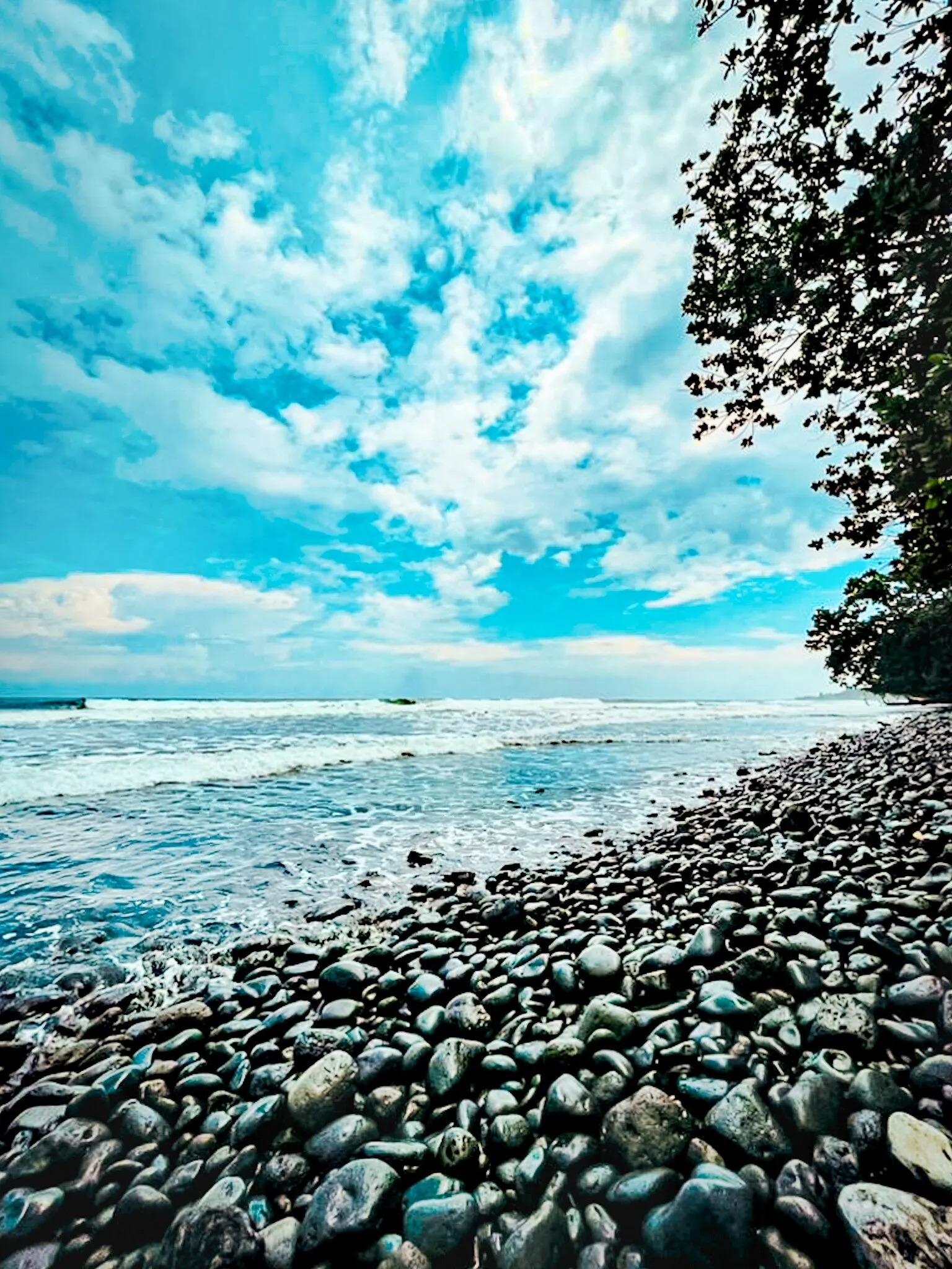 The beach