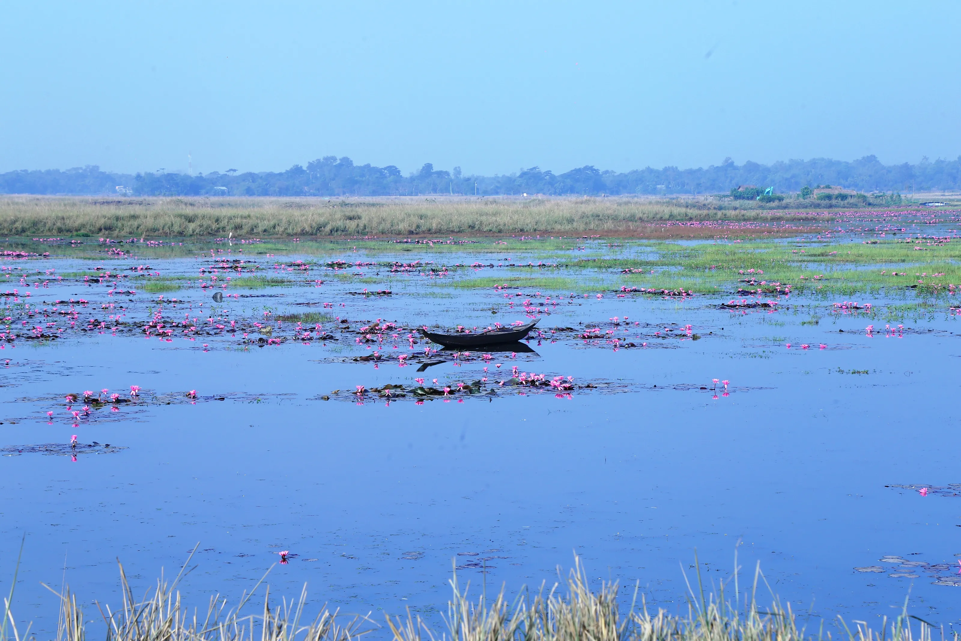River and boat of Bangladesh