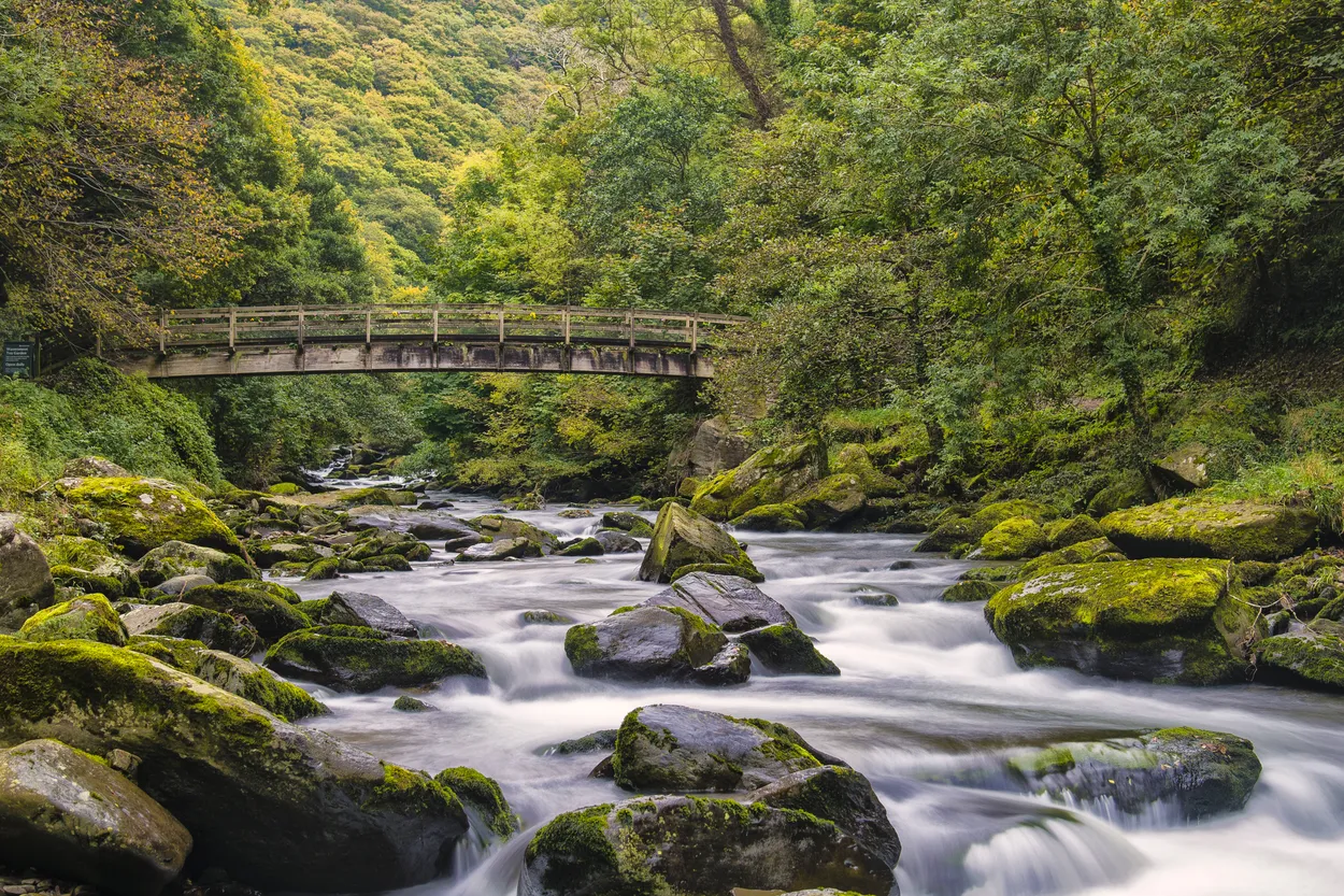 Entry 1469962