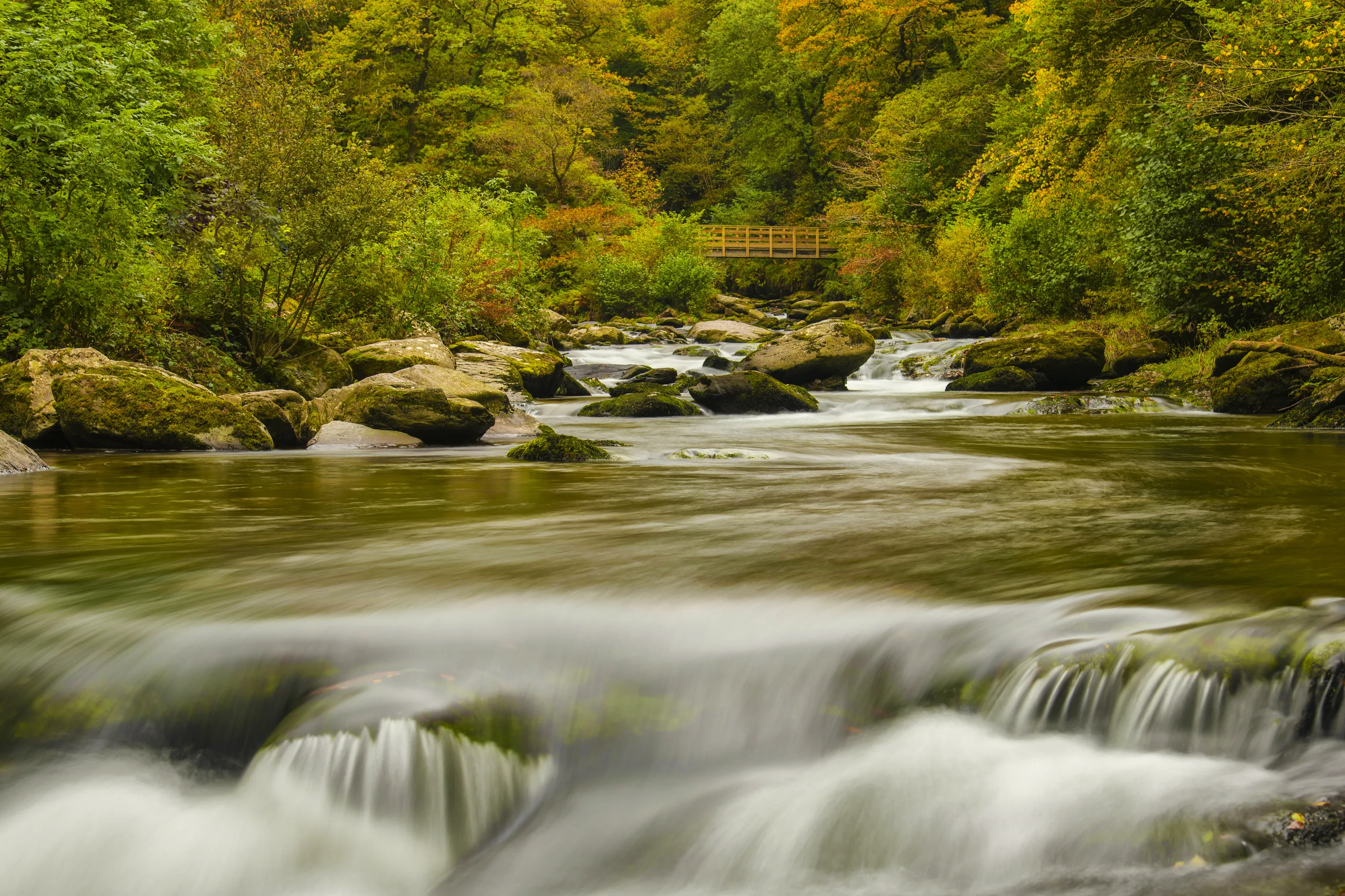 Autumn flow