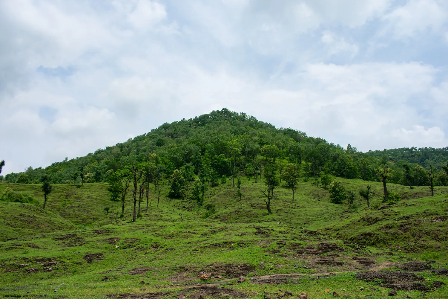Beautiful Landscape with Hill Forest & Cloudy Sky