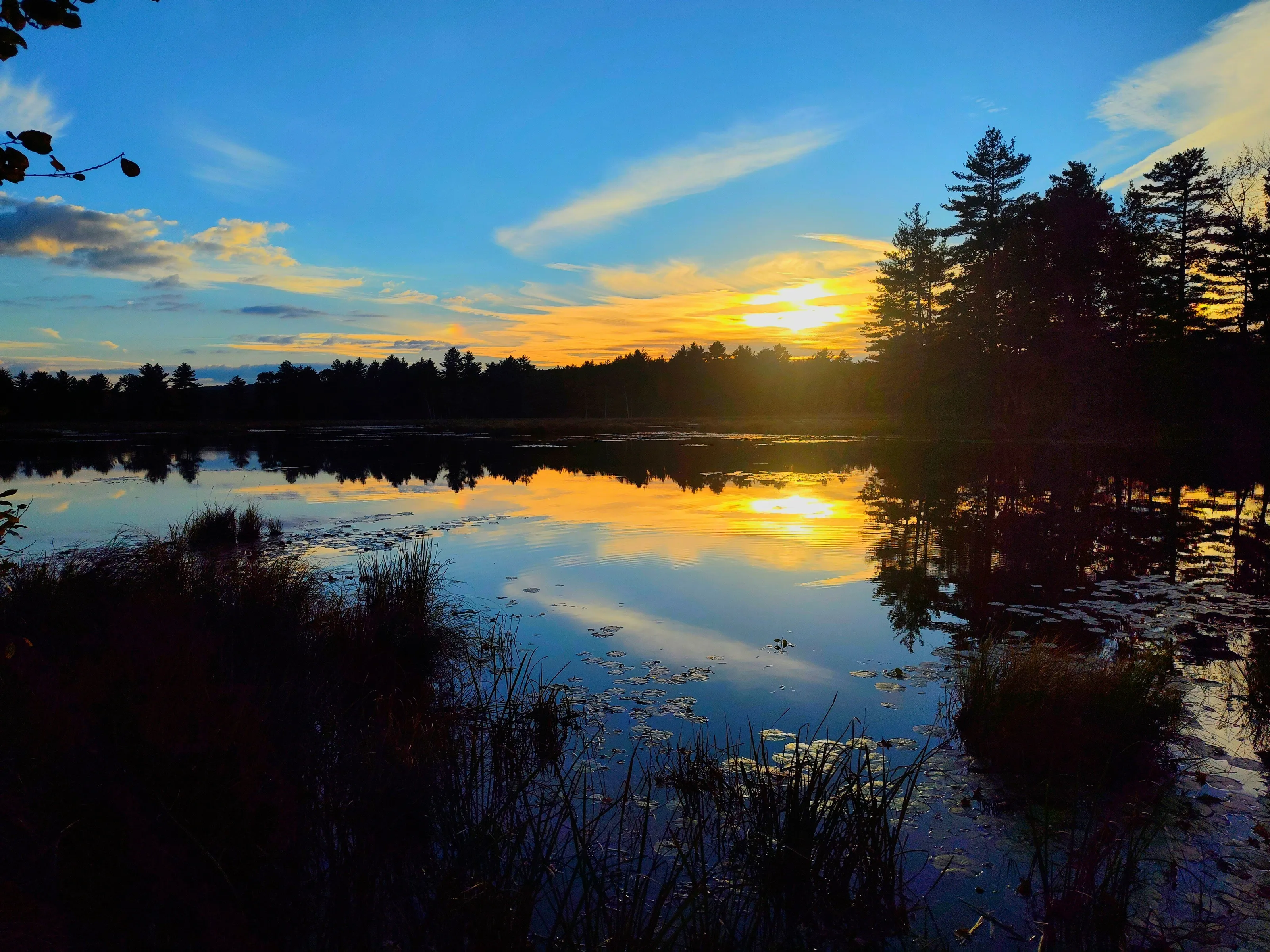 A moments peace