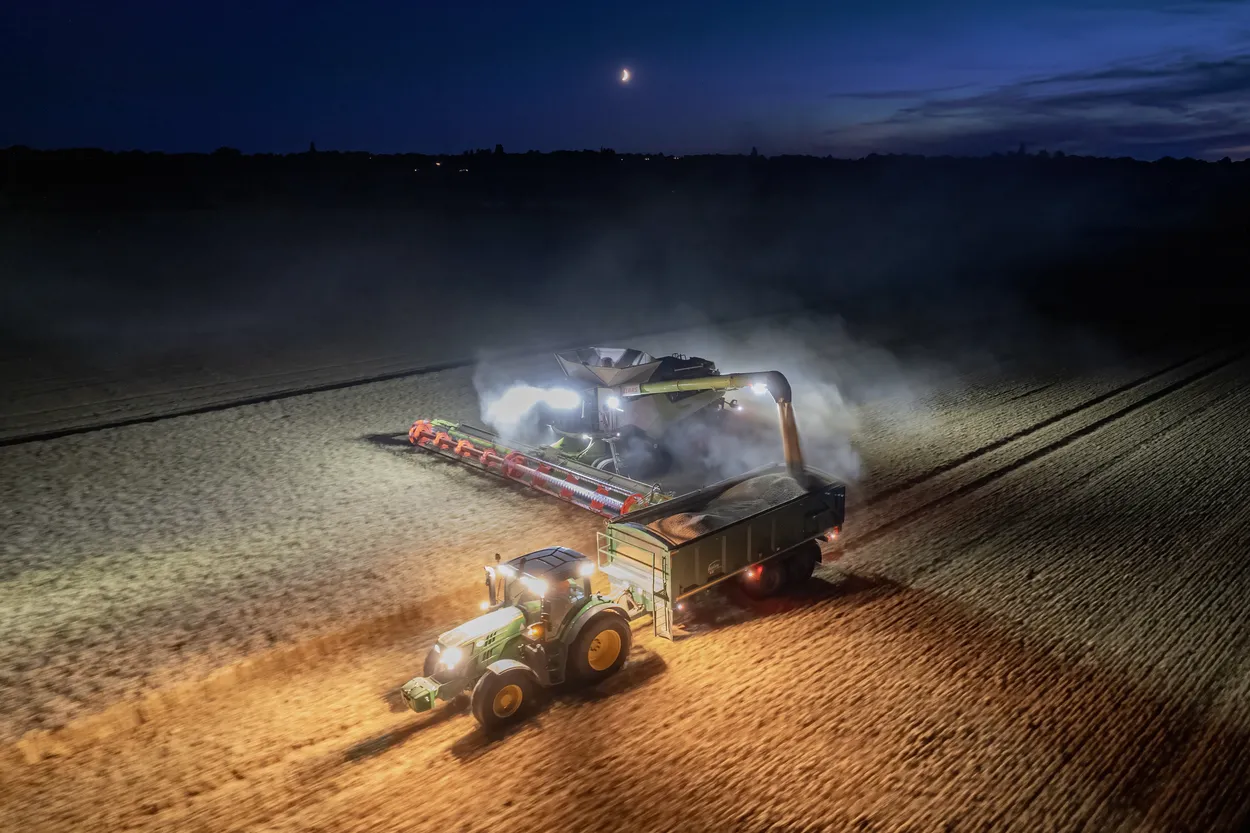 Harvest at Night