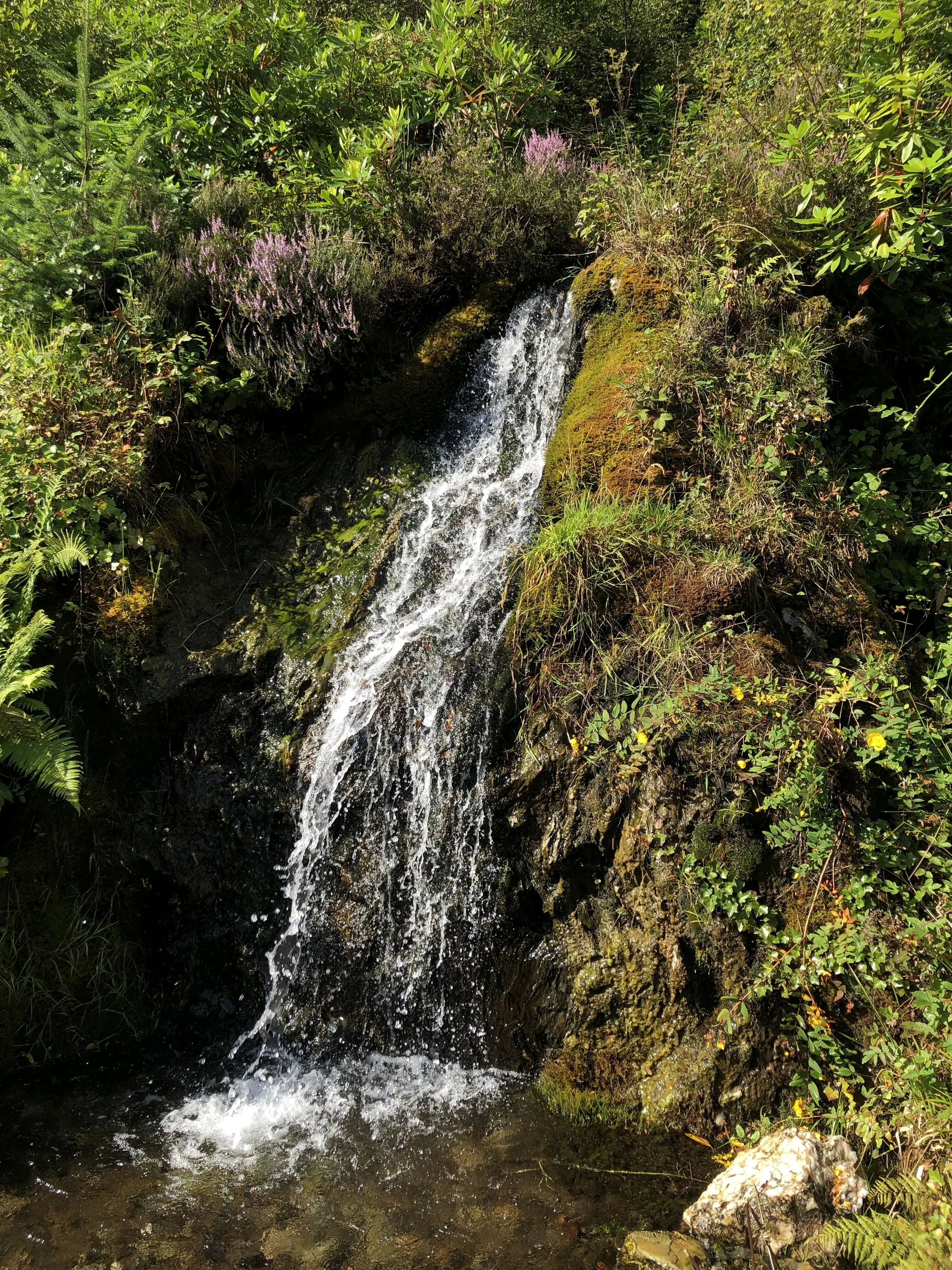 Waterfall in scotland