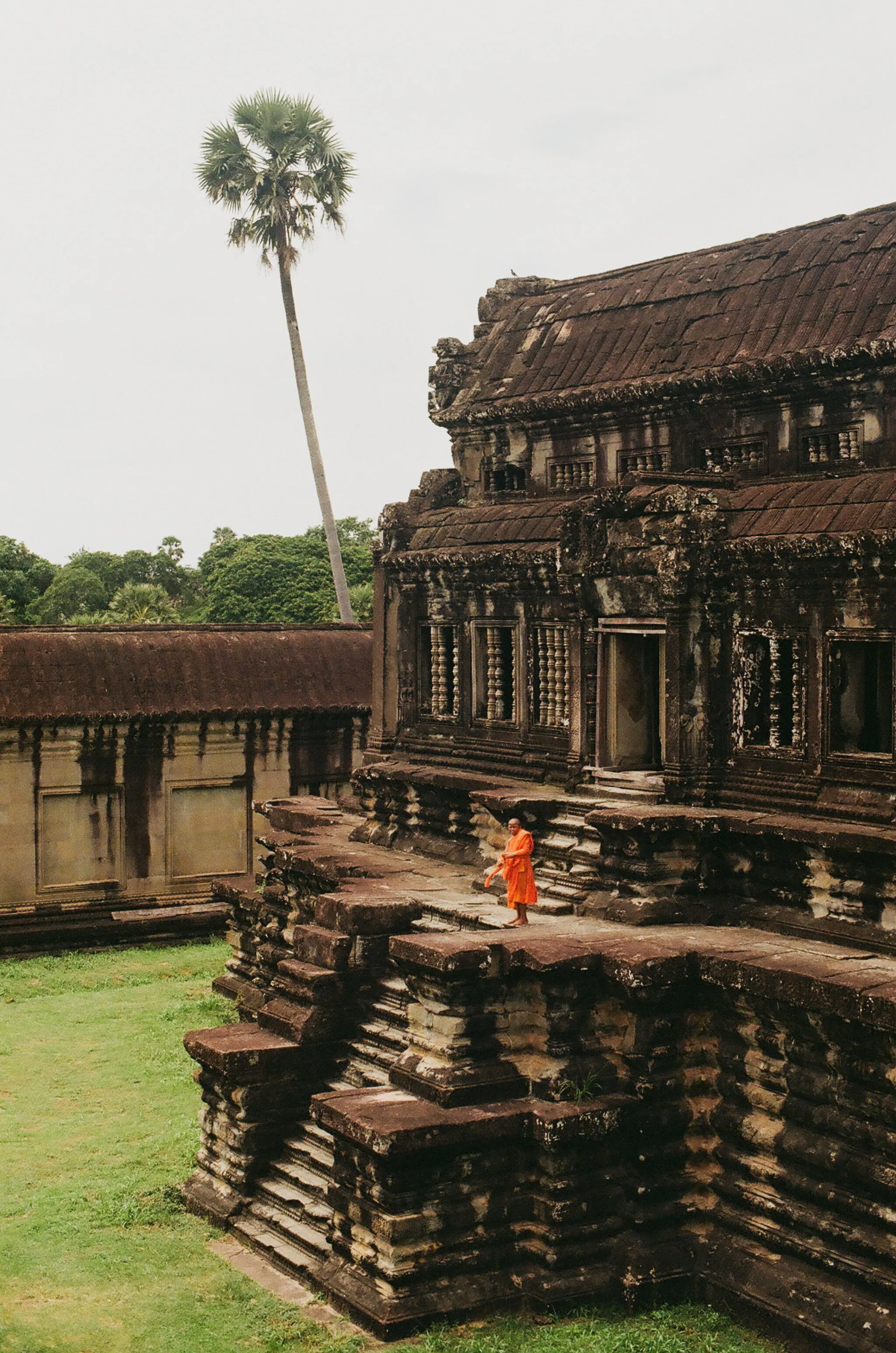 Monk in Angkor Wot