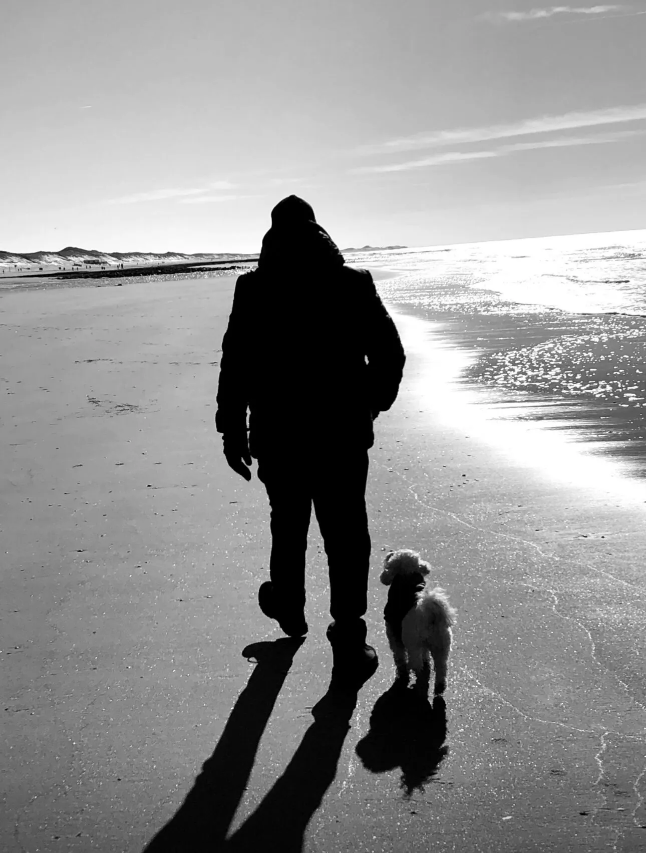 Me and my Shadow