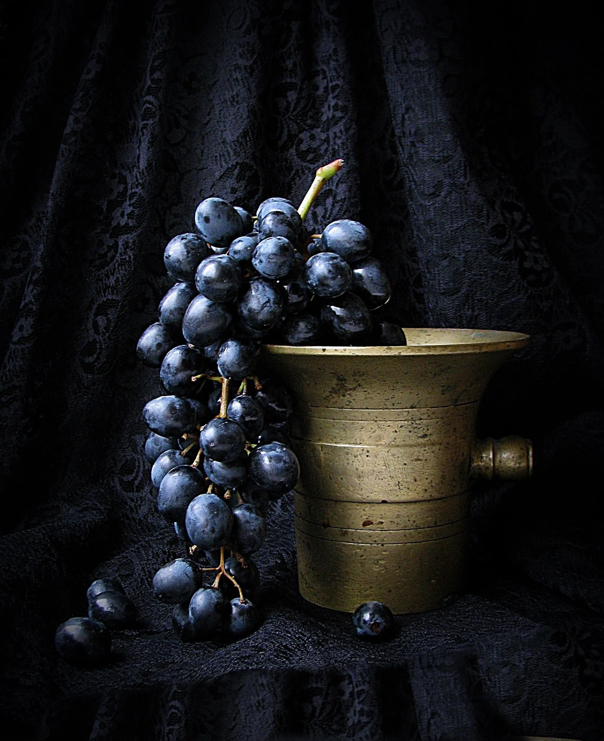 STILL LIFE